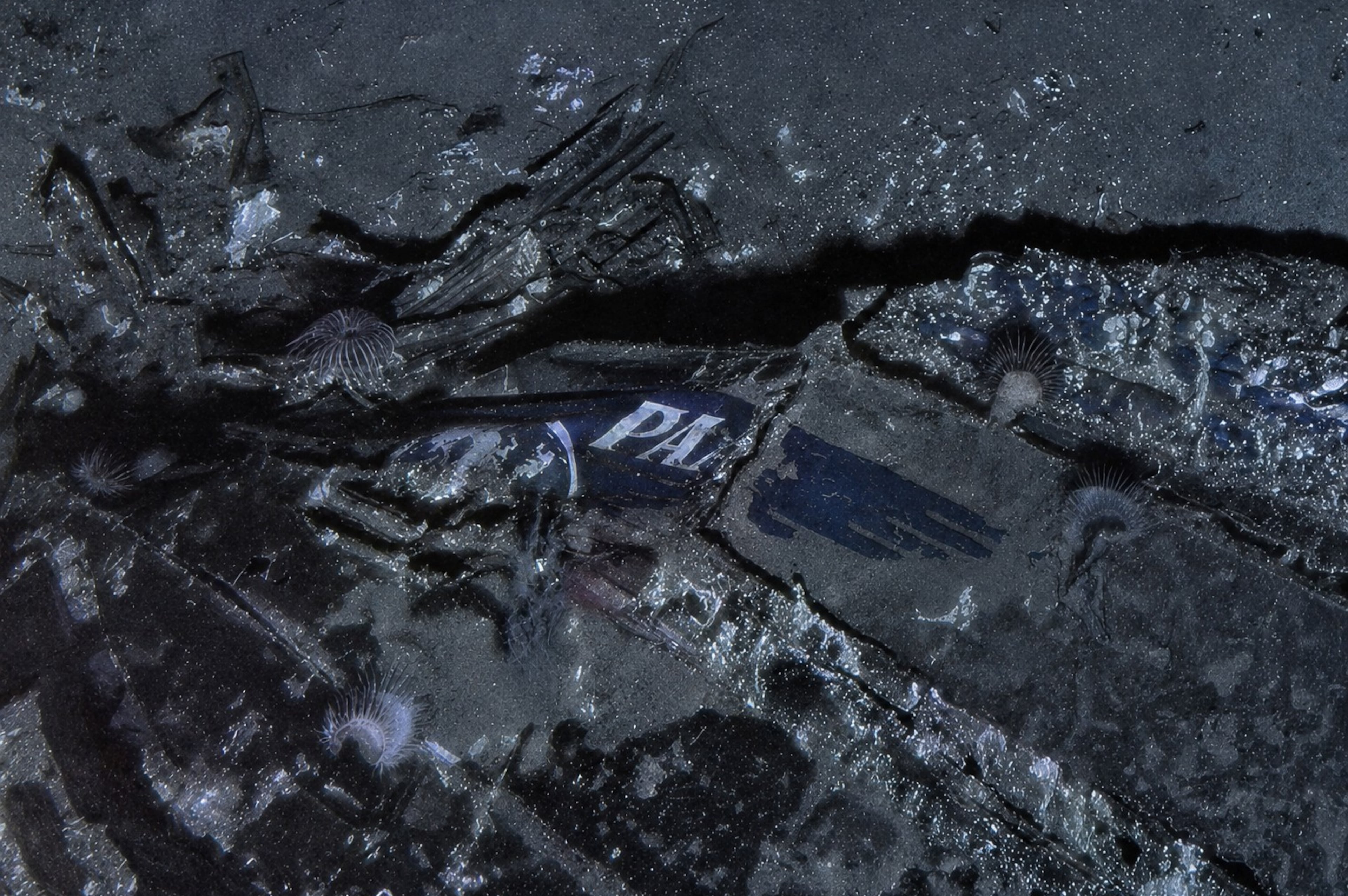 Aviation Safety Pan Am Wreck Found
