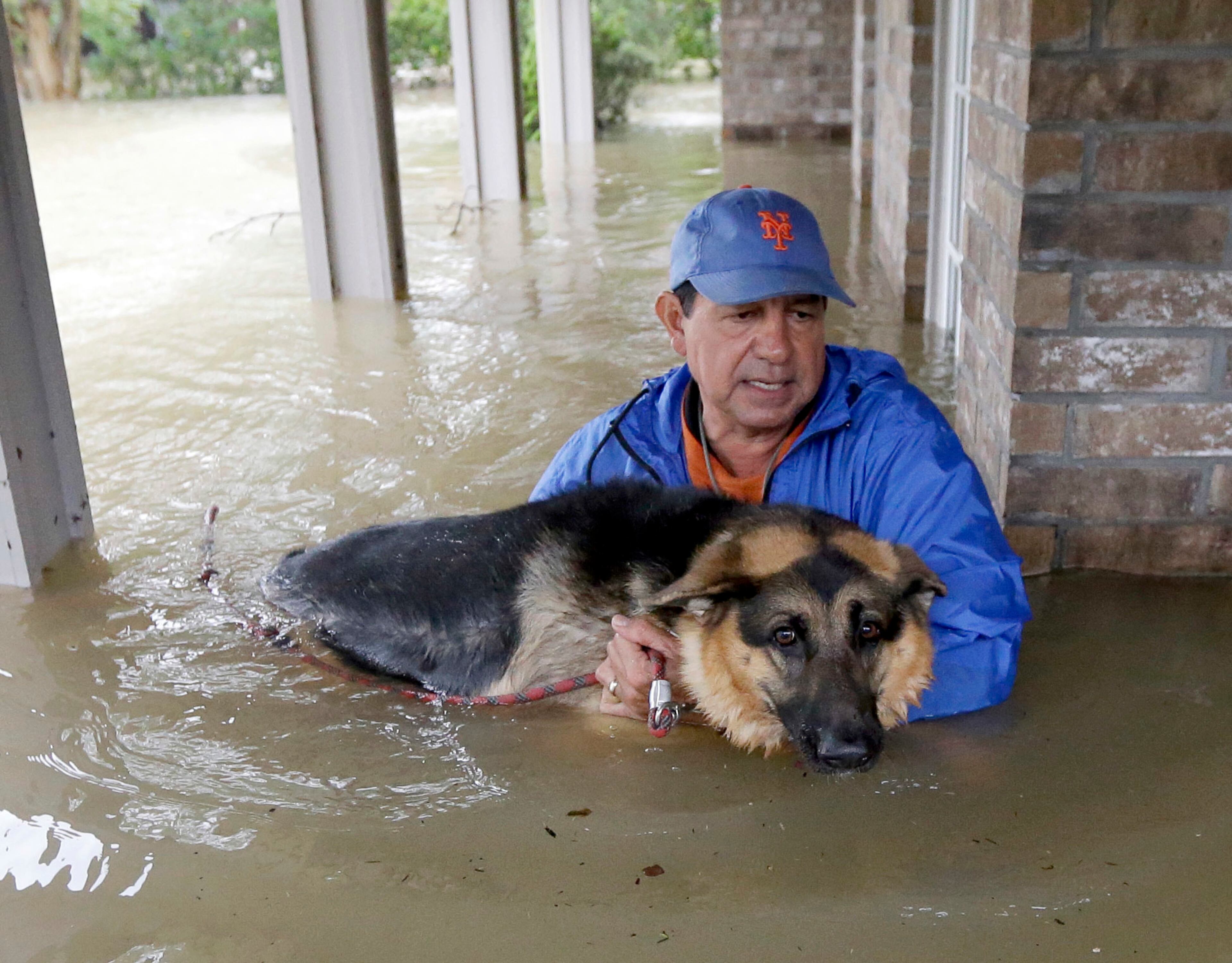 Joe Garcia carries his dog Heidi from his flooded home as he is rescued from rising floodwaters from Tropical Storm Harvey on Monday, Aug. 28, 2017, in Spring, Texas. (AP Photo/David J. Phillip)