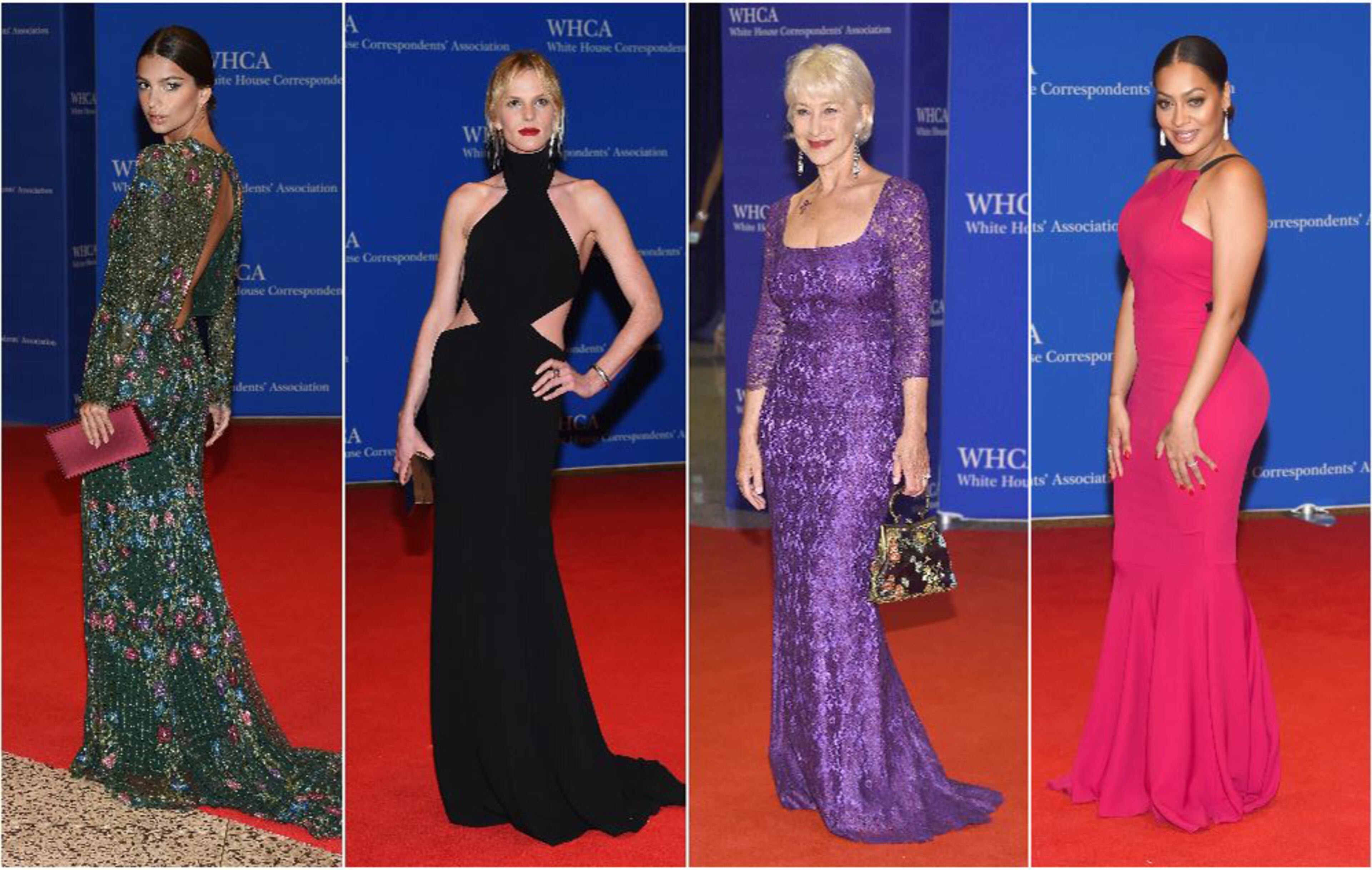 Celebrities and journalists attended the 102nd White House Correspondents' Association Dinner on April 30, 2016 in Washington, DC. Click through the gallery to see what they wore on the red carpet.