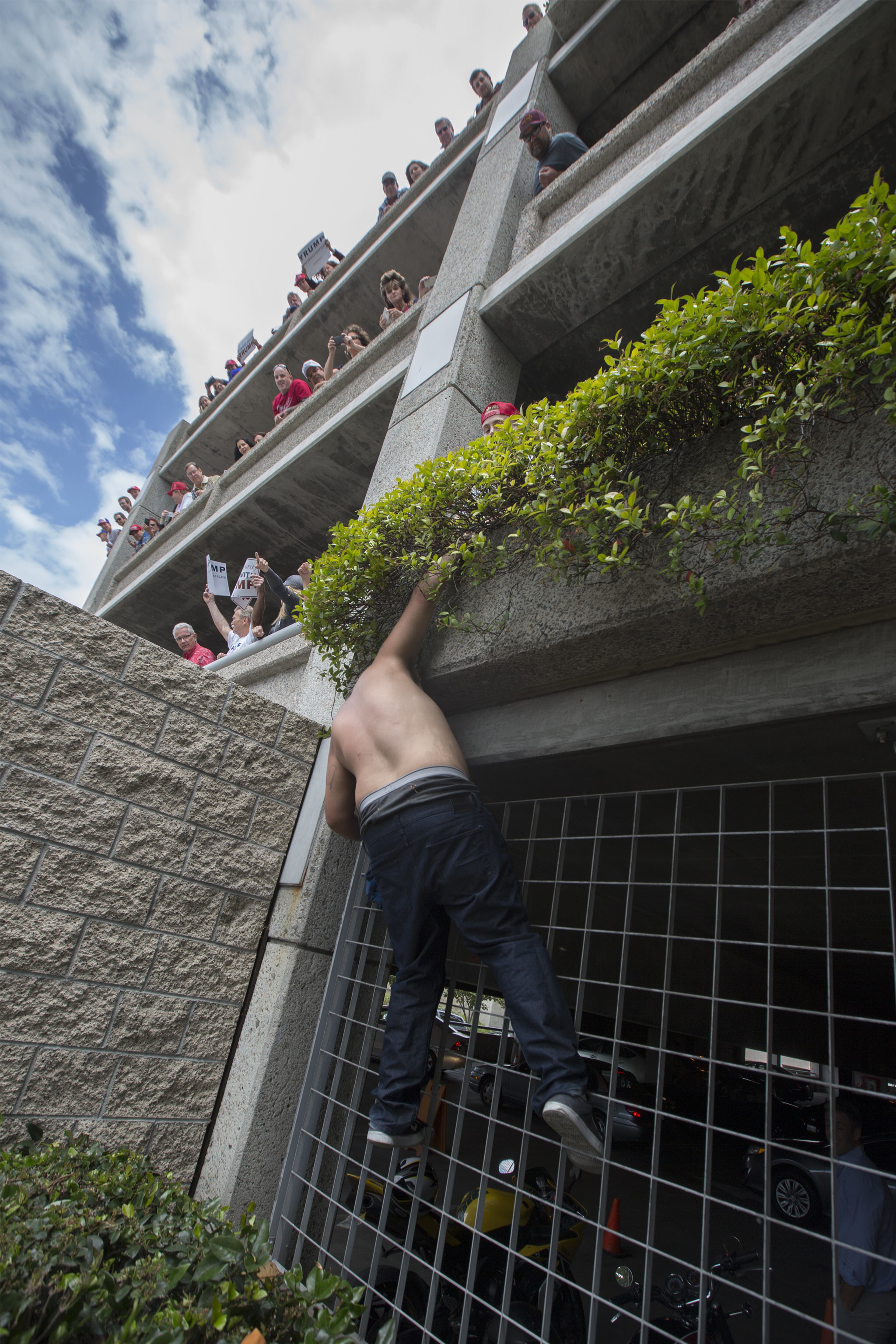 ANAHEIM, CA - MAY 25: A protester starts to climb up a parking structure where Trump supporters are jeering at protesters passing below near a campaign rally by presumptive GOP presidential candidate Donald Trump at the Anaheim Convention Center on May 25, 2016 in Anaheim, California. Previous visits by the candidate to Orange County have sparked in protests that resulted in some arrests. The presidential candidates are campaigning in Southern California for the June 7 California primary. (Photo by David McNew/Getty Images)