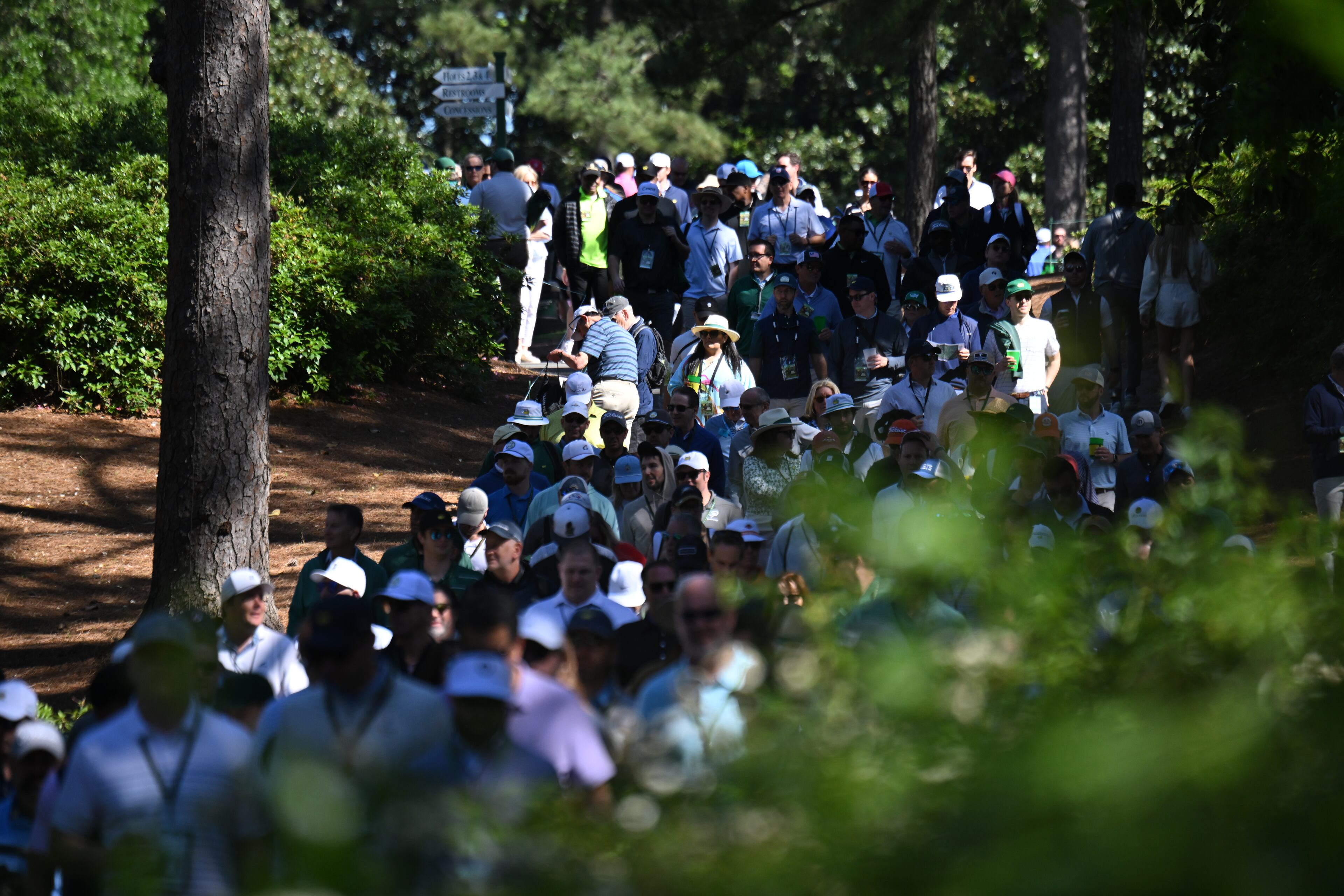 Patrons follow Tiger Woods on second fairway during second round of the 2024 Masters Tournament at Augusta National Golf Club, Friday, April 12, 2024, in Augusta, Ga. (Hyosub Shin / Hyosub.Shin@ajc.com)