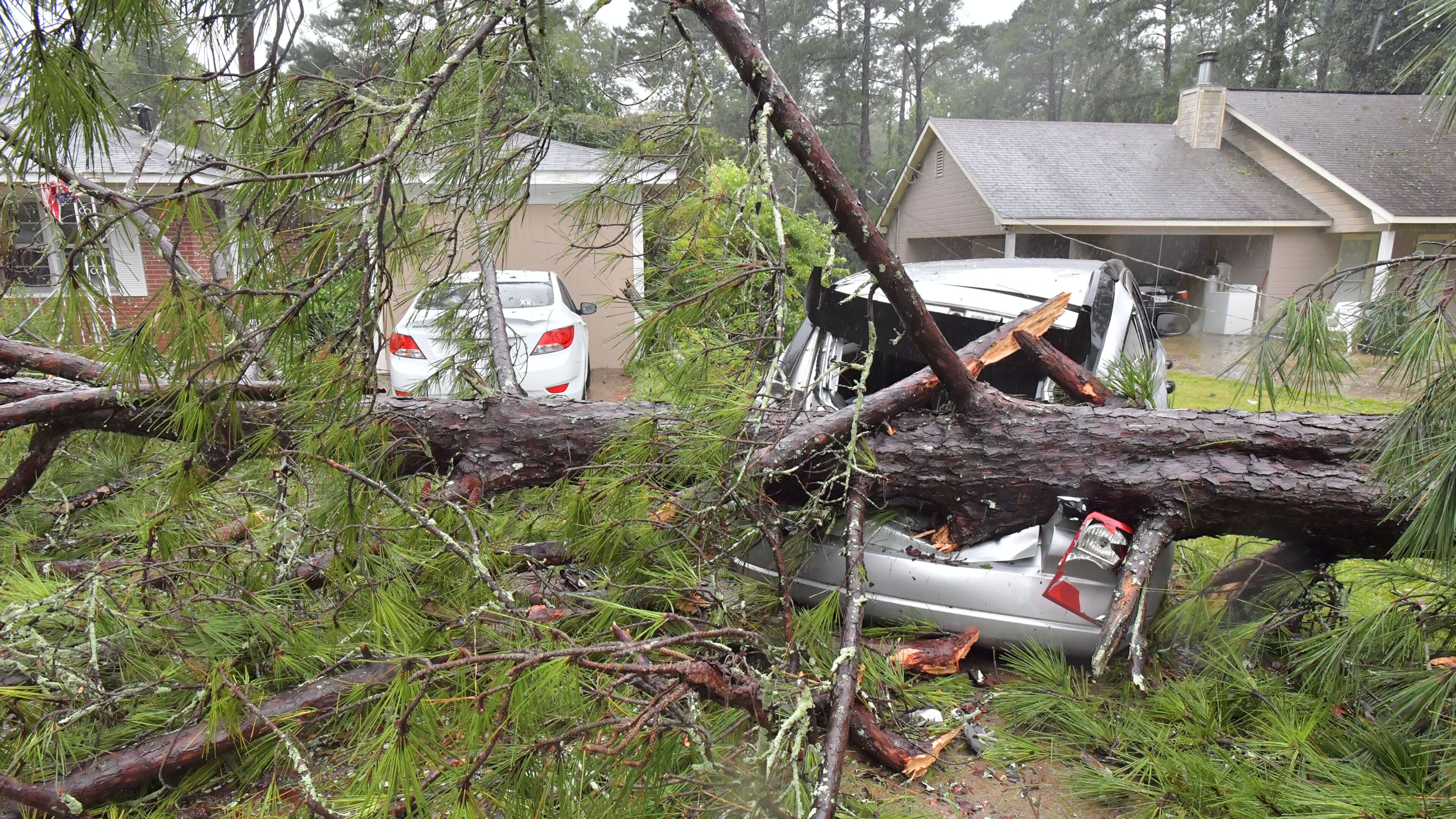 September 11, 2017 Columbus - A fallen tree damaged two cars at Monica Ogle's home on Dearborn Ave in west of Columbus on Monday, September 11, 2017. He had to move his car to a safe parking spot. The Georgia coast was hit hard Monday morning, with pounding rains, roaring winds and storm surge. More than 87,000 Georgia Power customers were without power in the Savannah area, as were another 96,000 from Brunswick and St. Simons south to St. Marys, at the Florida line. HYOSUB SHIN / HSHIN@AJC.COM
