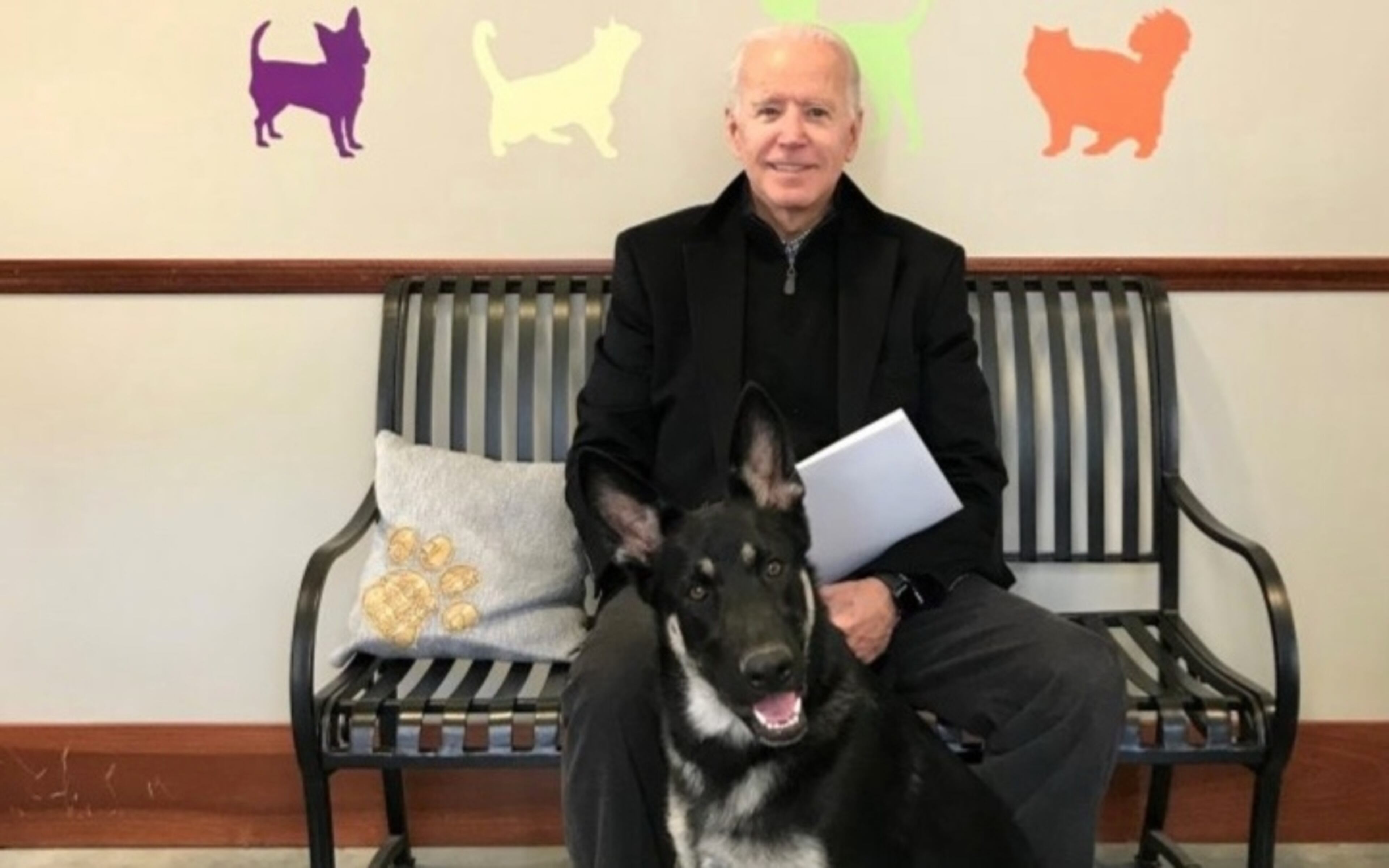 Joe Biden suffered a "hairline fracture" in his foot while playing with one of his dogs.