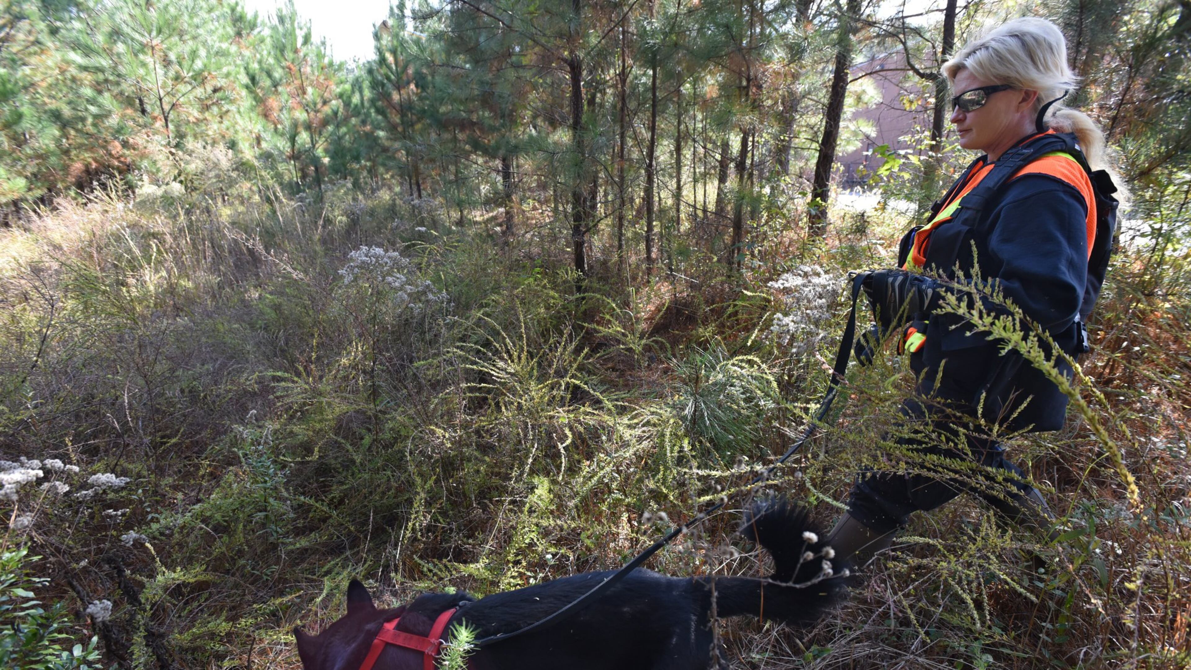 K-9 search expert Trace Sargent guides K-9 Draco on a search for the body of DeCorrius Jones, who has been missing since October 15, 2016, near the apartment complex where he was last seen. HYOSUB SHIN / HSHIN@AJC.COM