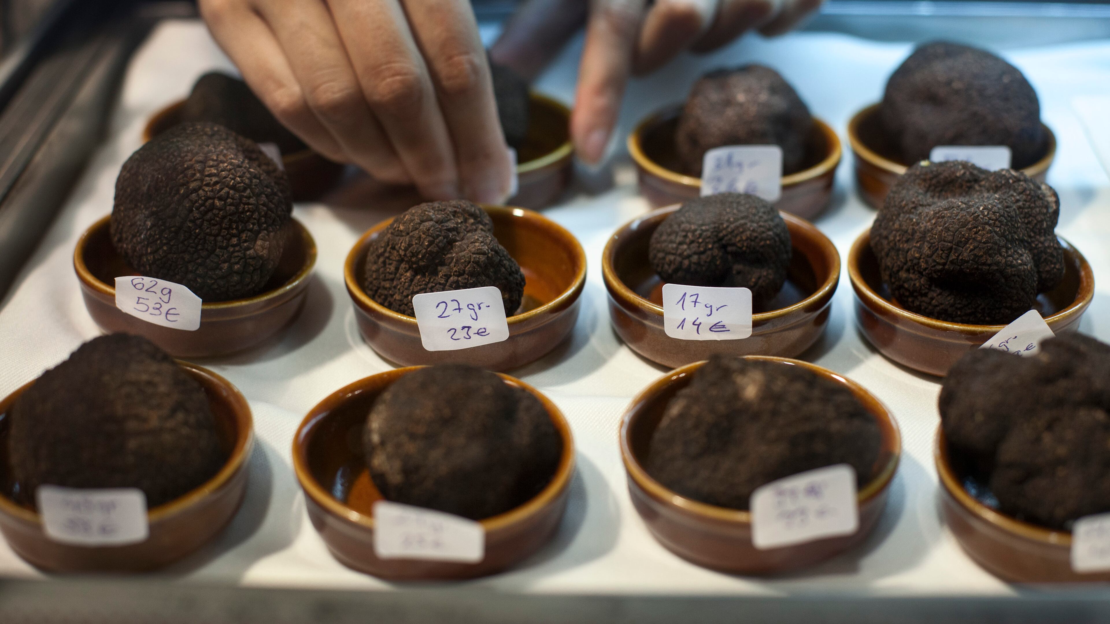 Truffles for sale in the annual truffle fair in Sarrion, Spain, where a large truffle producer resides, on Dec. 5, 2015. The Spanish, who barely eat truffles, have taken up the slack for a declining French output, committing resources to cultivating a lucrative foodstuff.