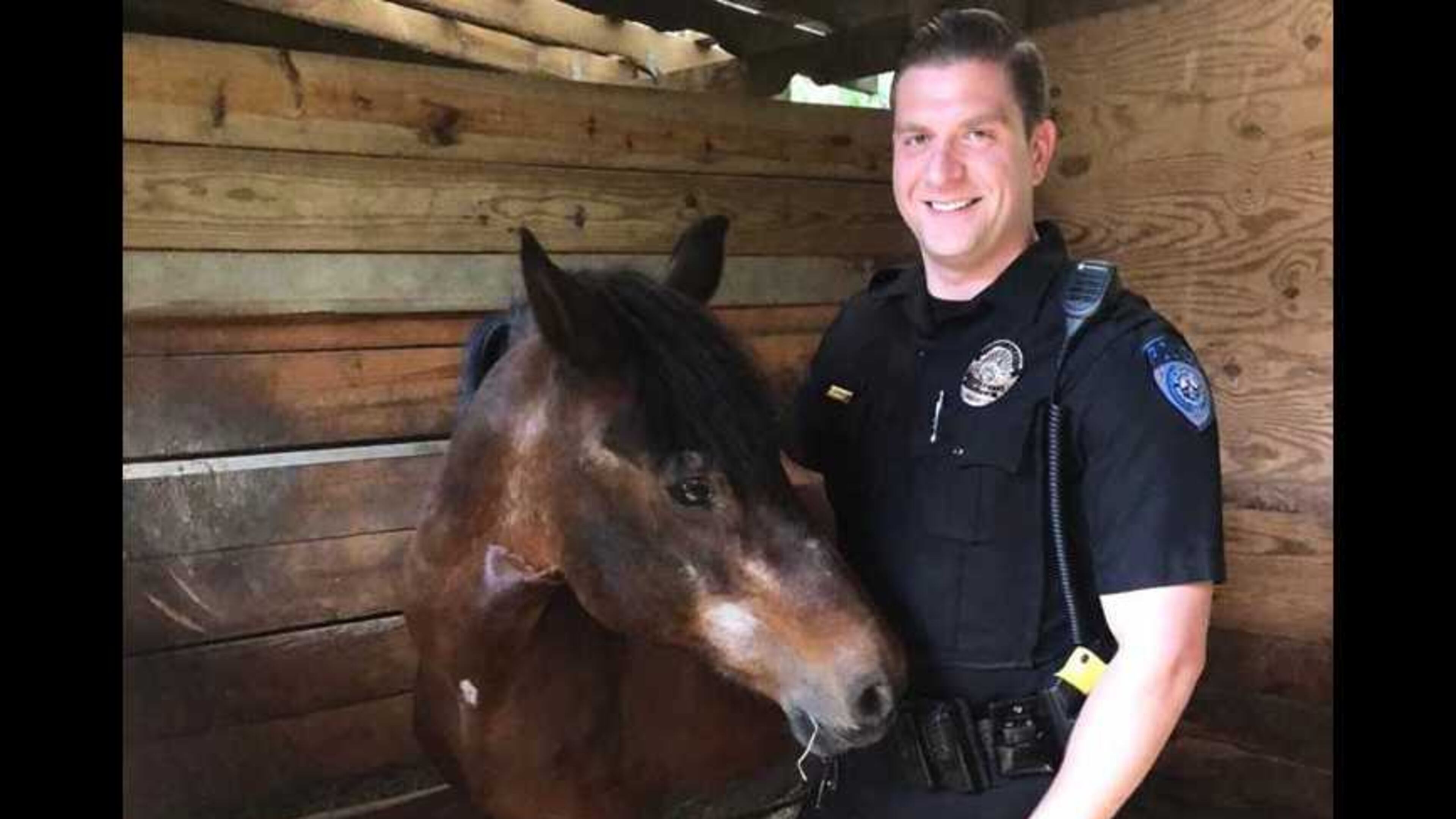 Police found a missing horse wandering in an Alpharetta neighborhood this weekend. It was briefly kept at Wills Park before it was reunited with its owners.