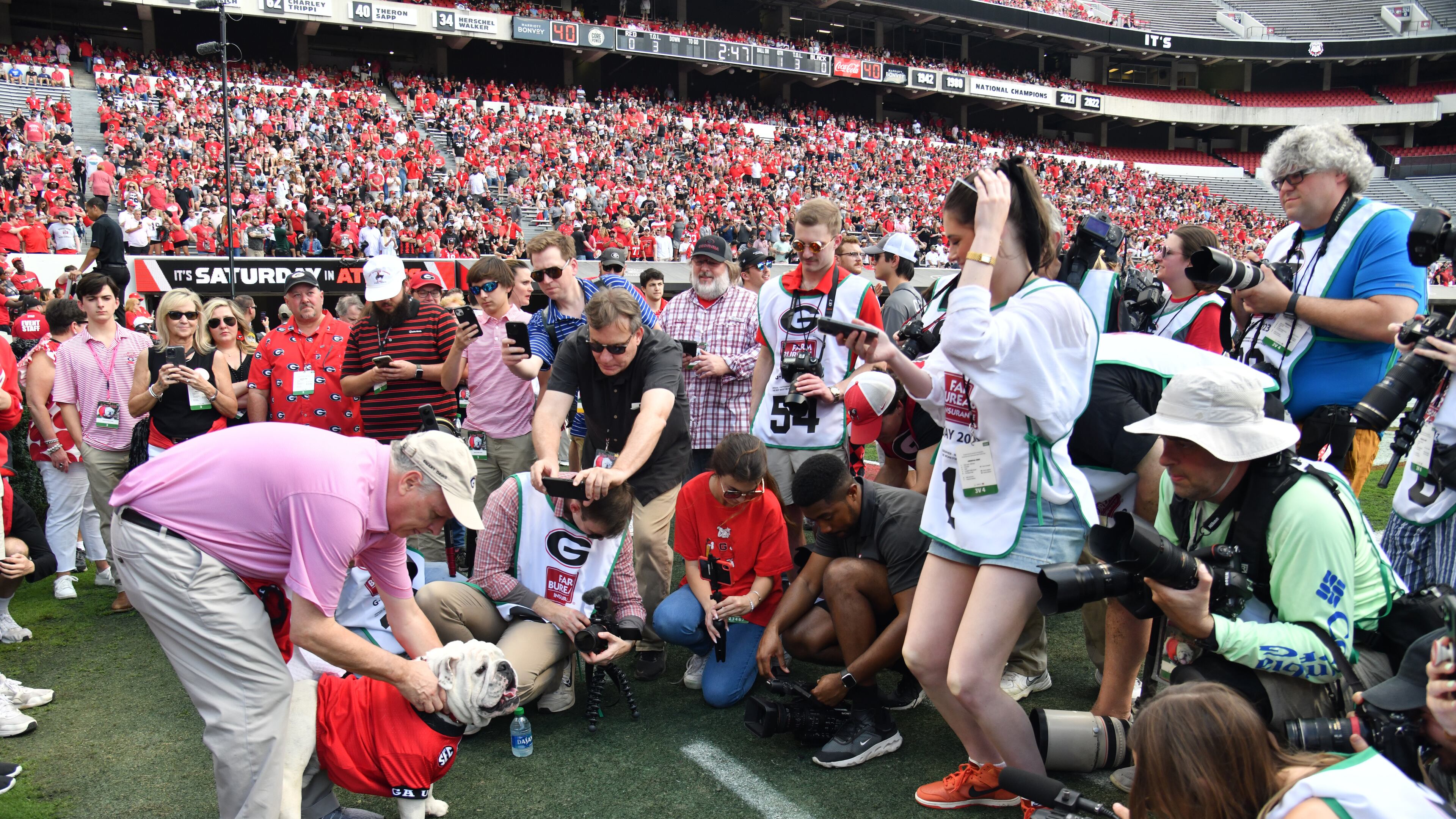 Photographers take photographs of Boom, a 10-month-old English Bulldog, as Uga XI, during pregame ceremonies at the G-Day game at Sanford Stadium, Saturday, April 15, 2023, in Athens. (Hyosub Shin / Hyosub.Shin@ajc.com)
