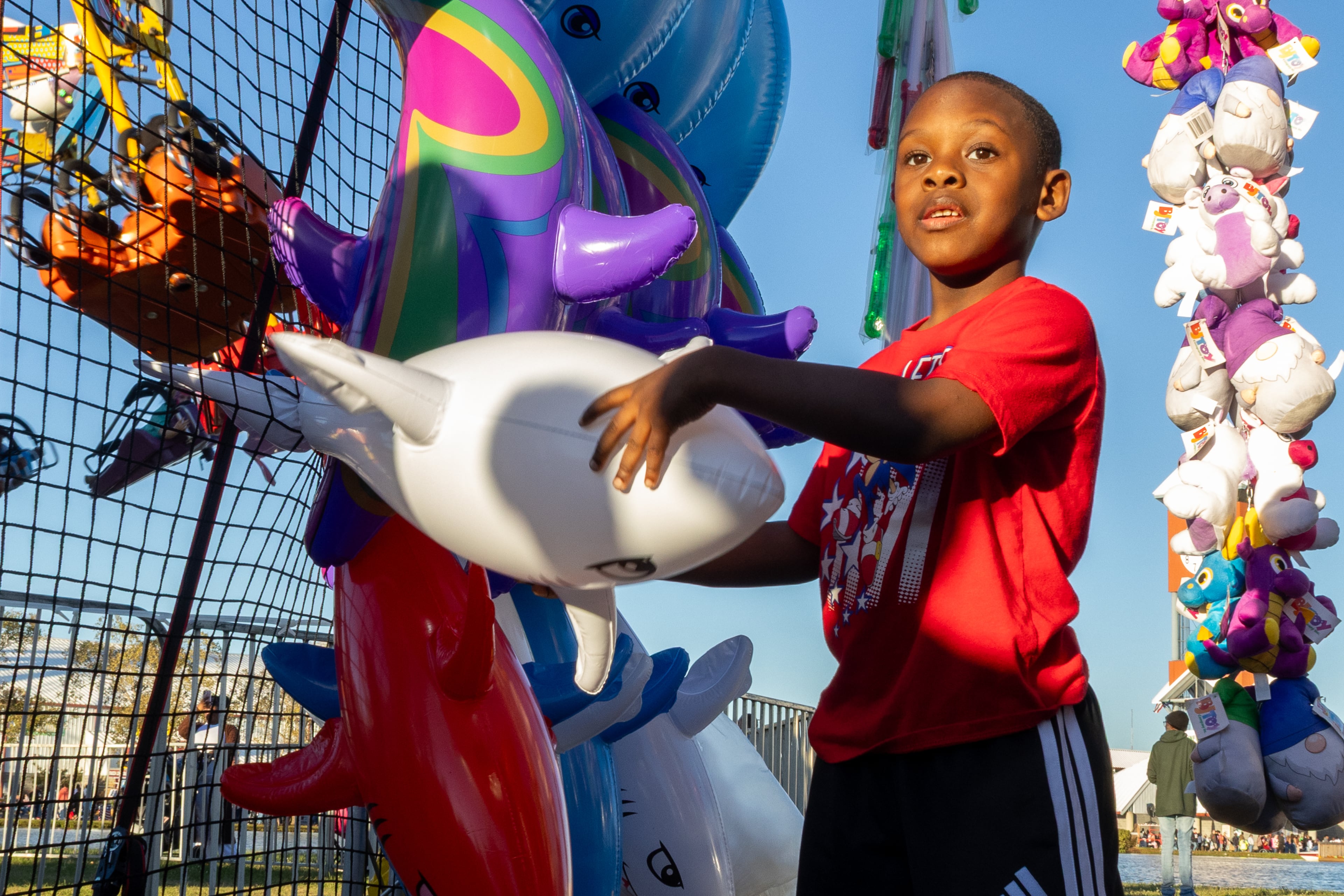 Julian Stanley grabs his prize, an inflatable white shark, from the net at the 37th annual Georgia National Fair on Saturday, October 17, 2026. Stanley won his prize on the high-striker game on his first attempt. (Wesley Webb/UGA Photojournalism Workshop)