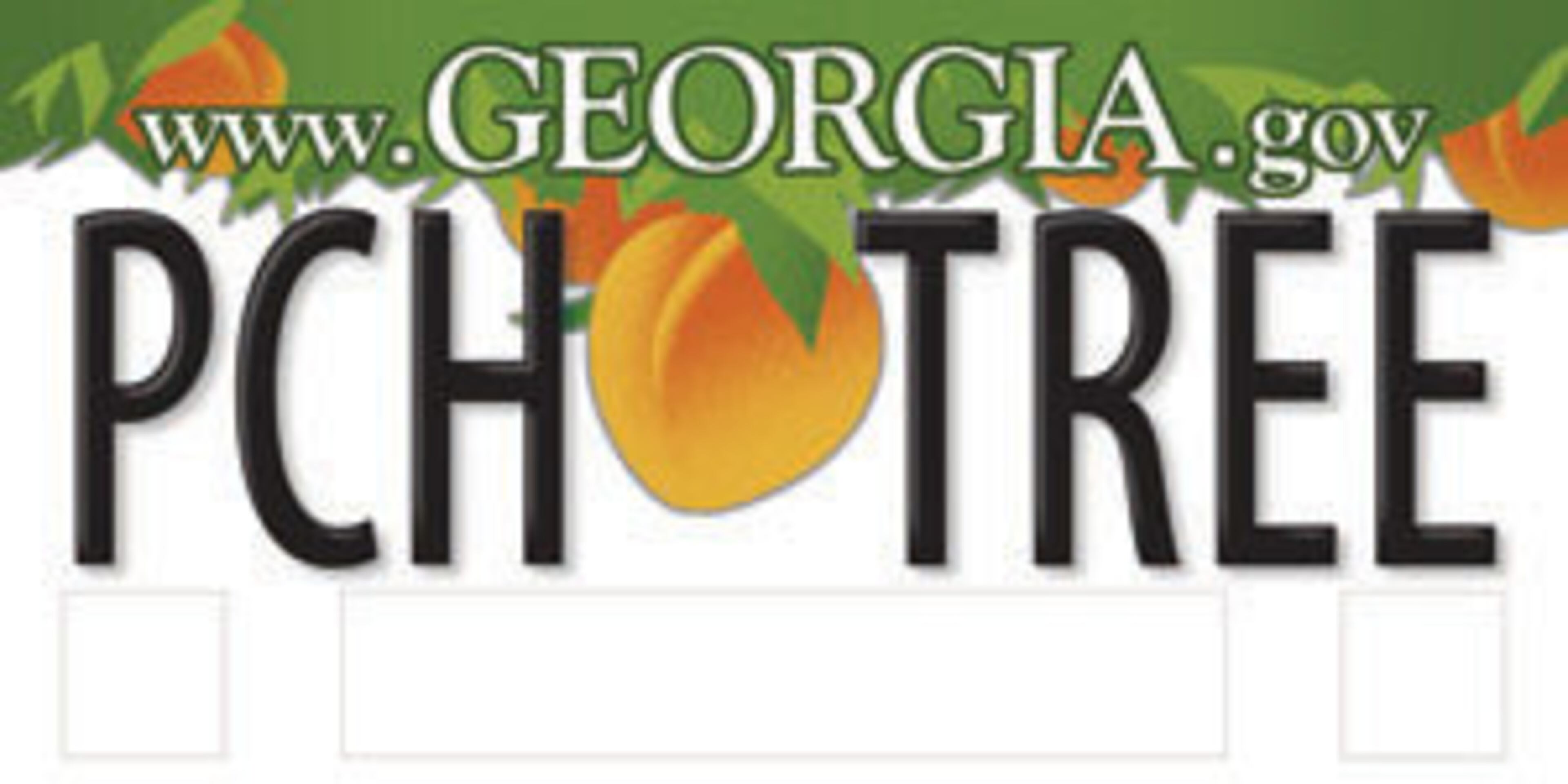 Georgia is asking for your input in the new general issue license plate design. Which one is your favorite?