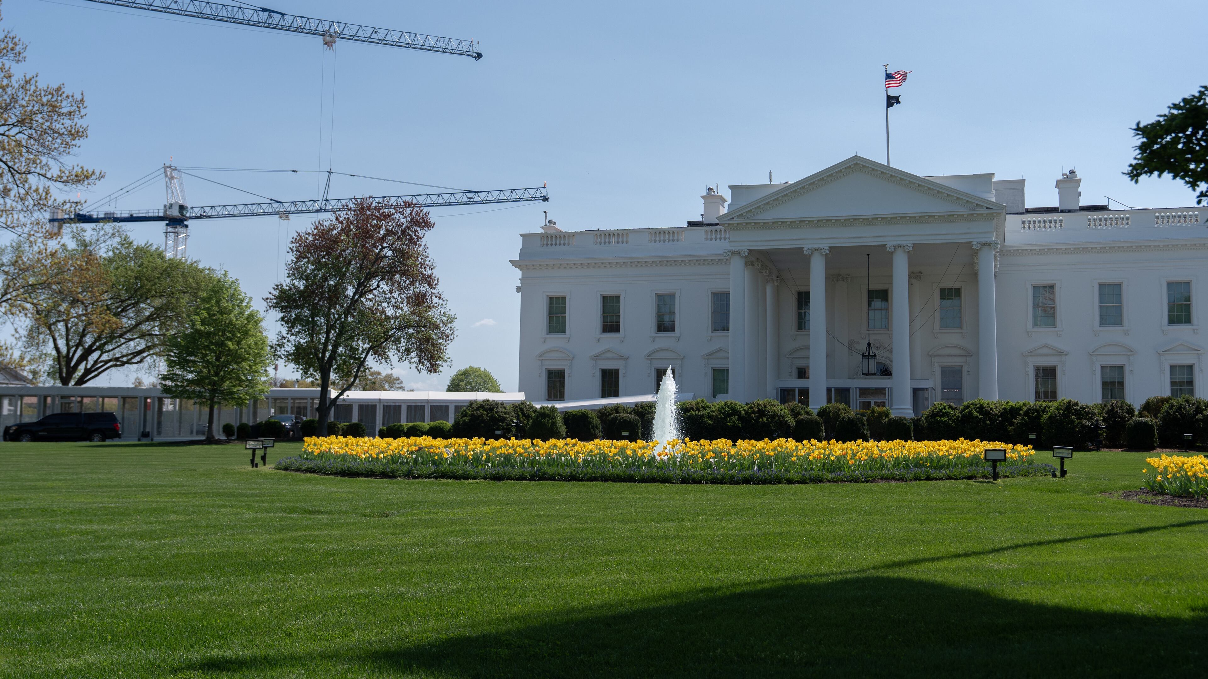 Cranes being used to construct the new White House ballroom are seen around the White House, Saturday, April 4, 2026, in Washington. (AP Photo/Julia Demaree Nikhinson)