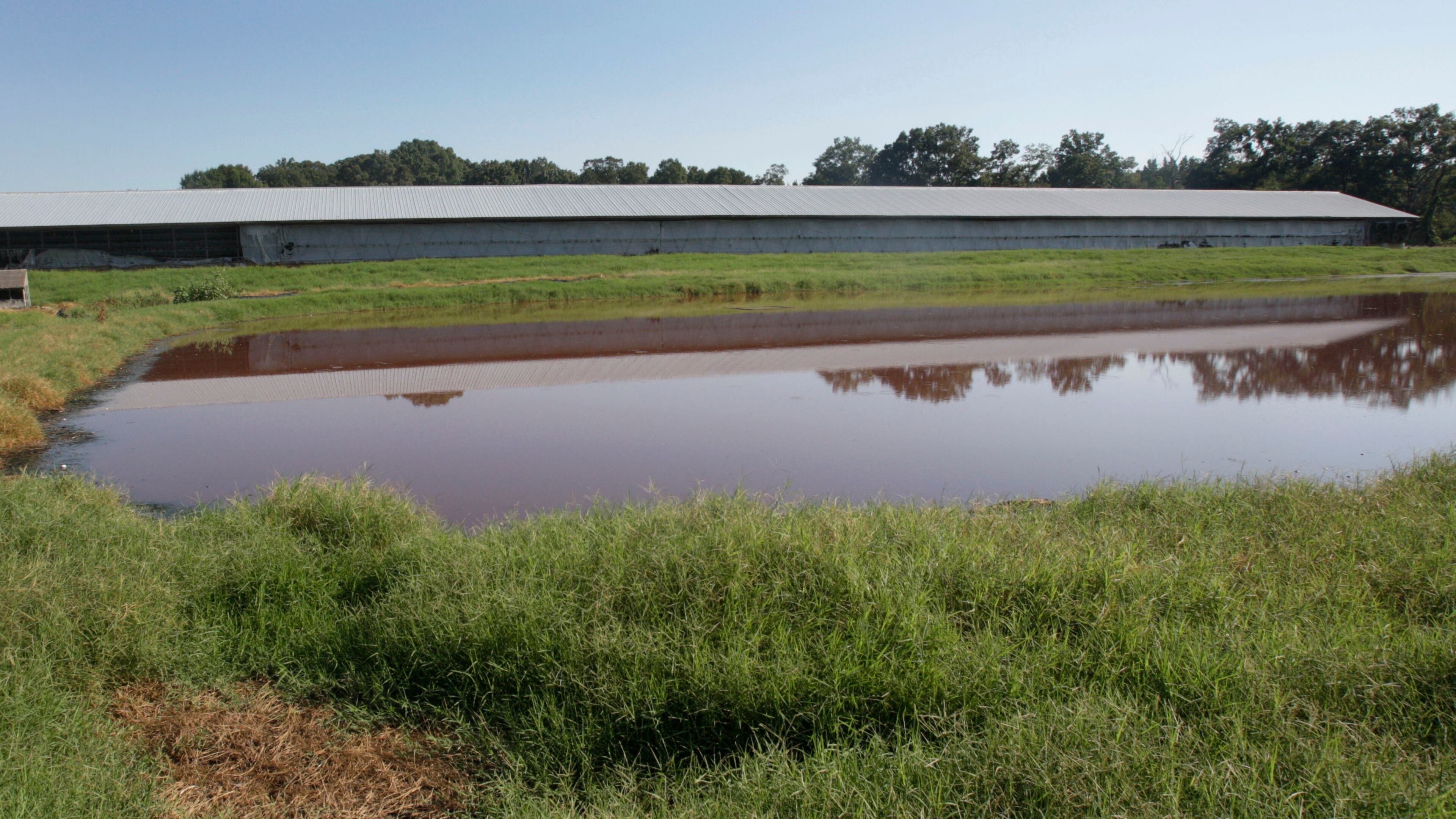 Most nuisance suits between farmers and neighbors happen over animal operations which have elements such as this waste pond behind a Georgia chicken house. (Bob Andres/AJC)