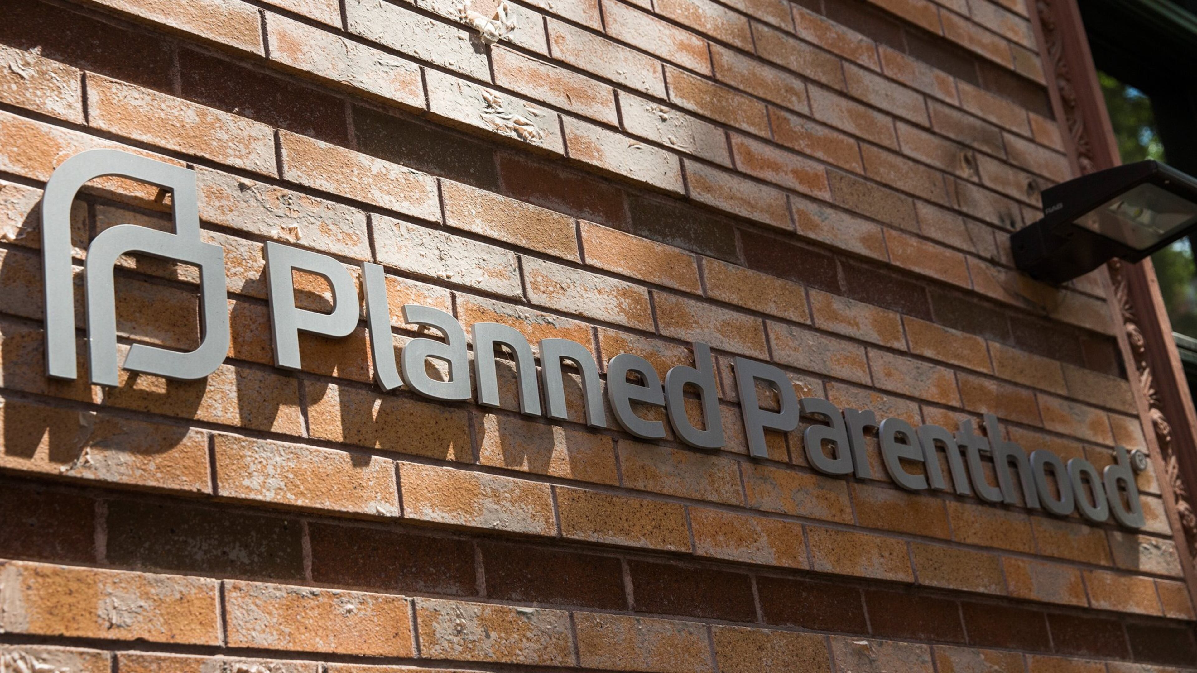 Photo: Handout, Getty Images