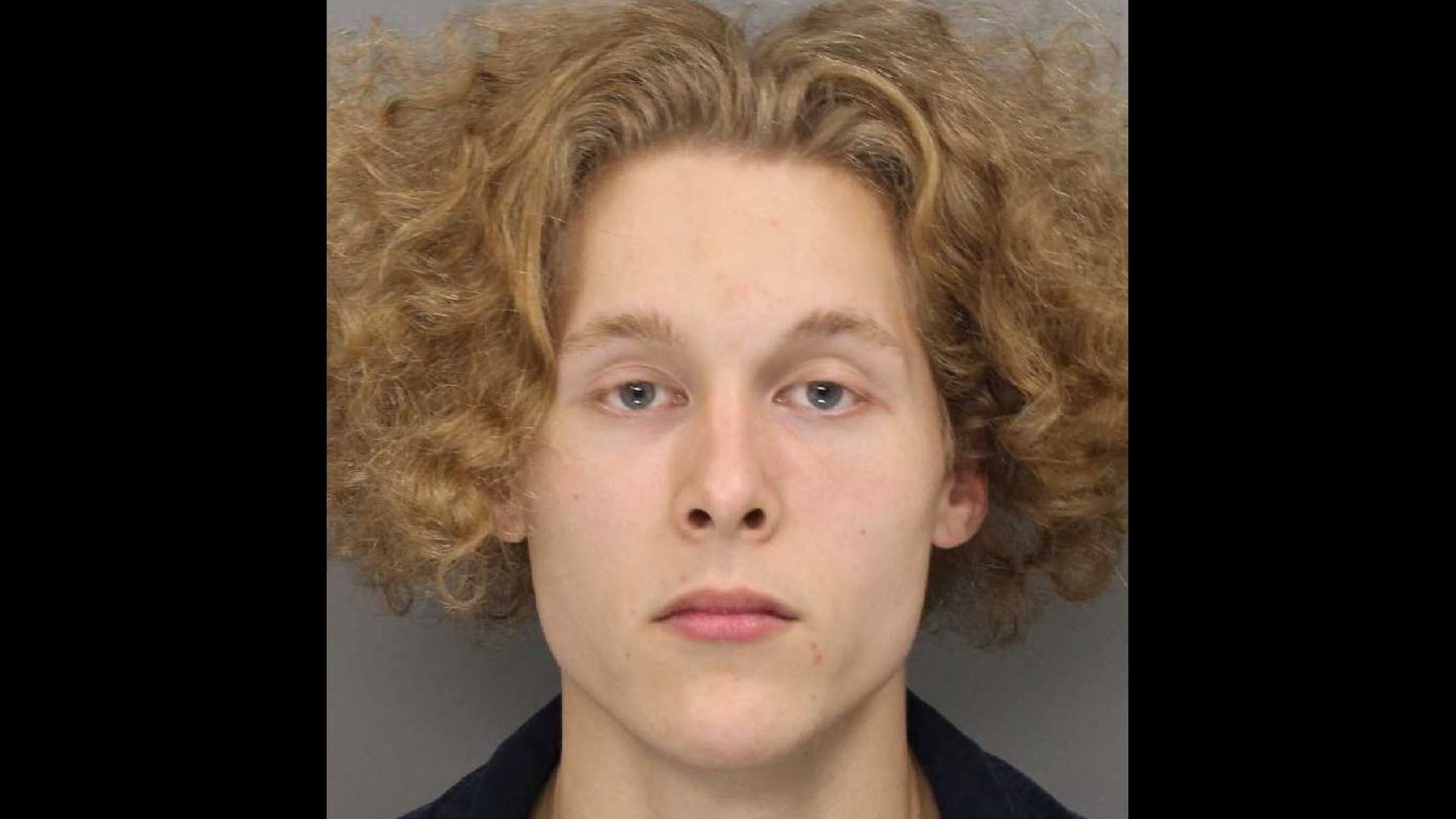 Mugshot of Addison Bram Johnson