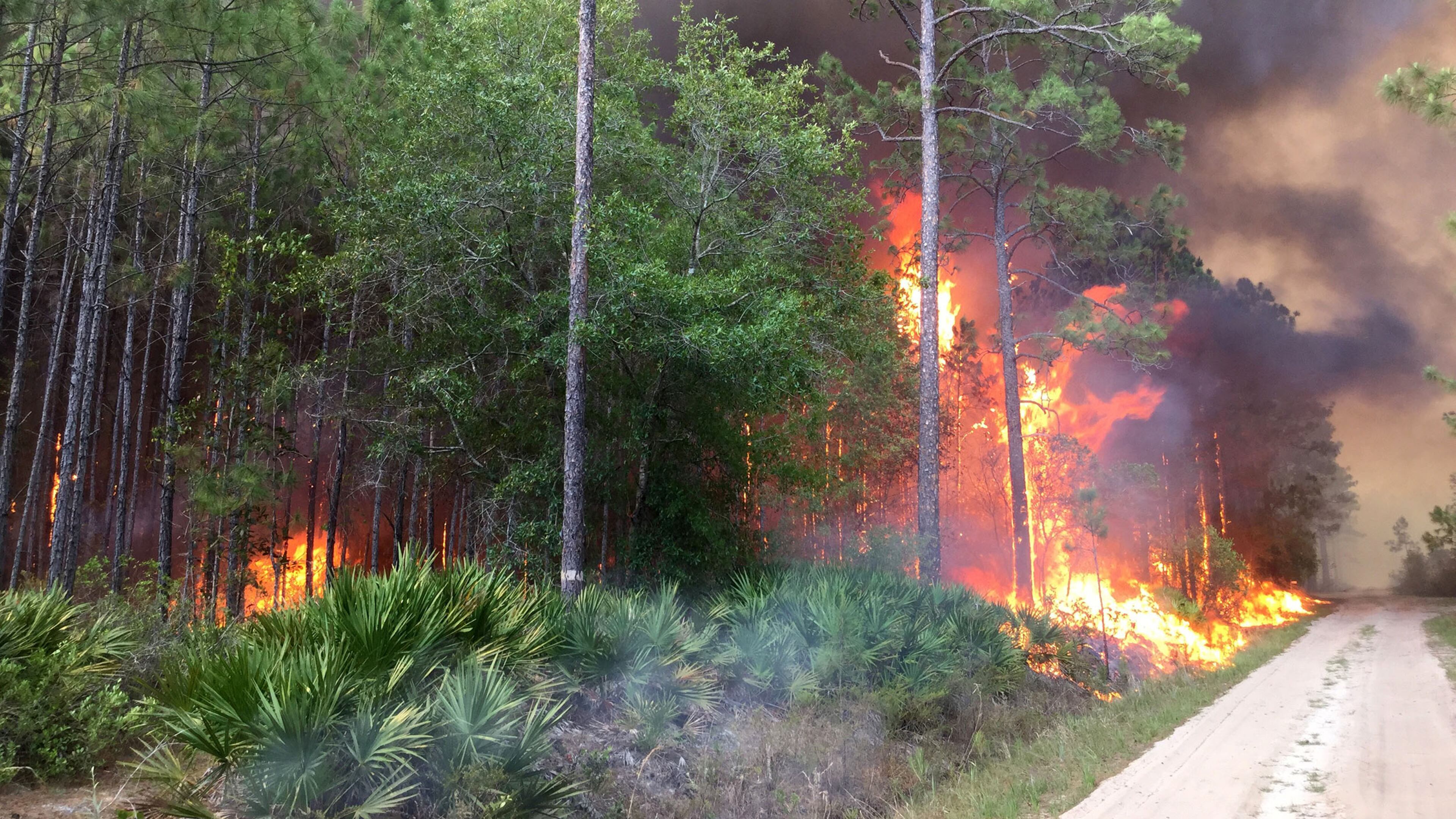 May 11, 2017: The West Mims fire in the Okefenokee National Wildlife Refuge in South Georgia. Photo shot by firefighters from the Balcones Canyonlands National Wildlife Refuge in Texas.