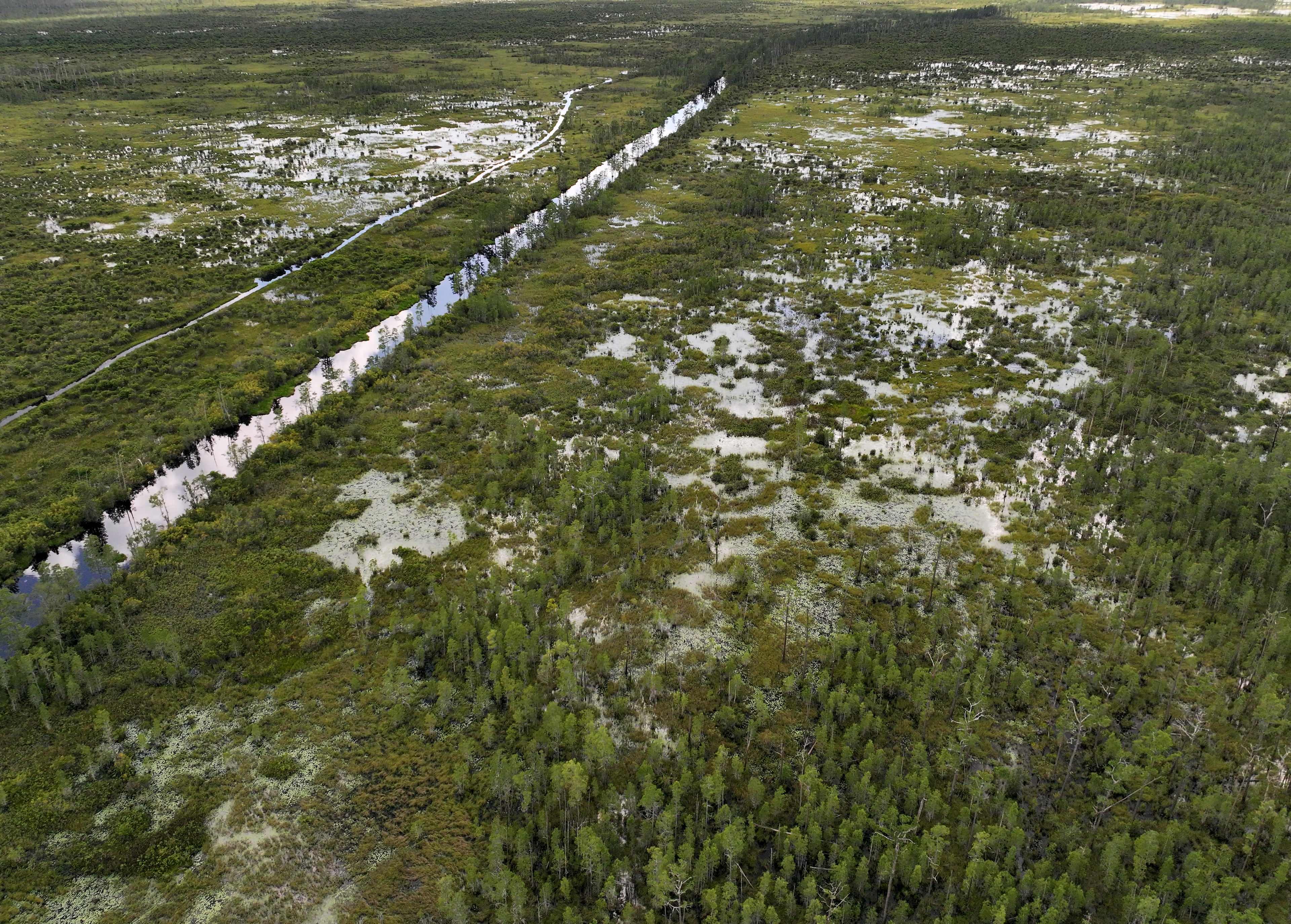 the Okefenokee Swamp covers about 700 square miles in southeast Georgia. (Hyosub Shin/AJC)