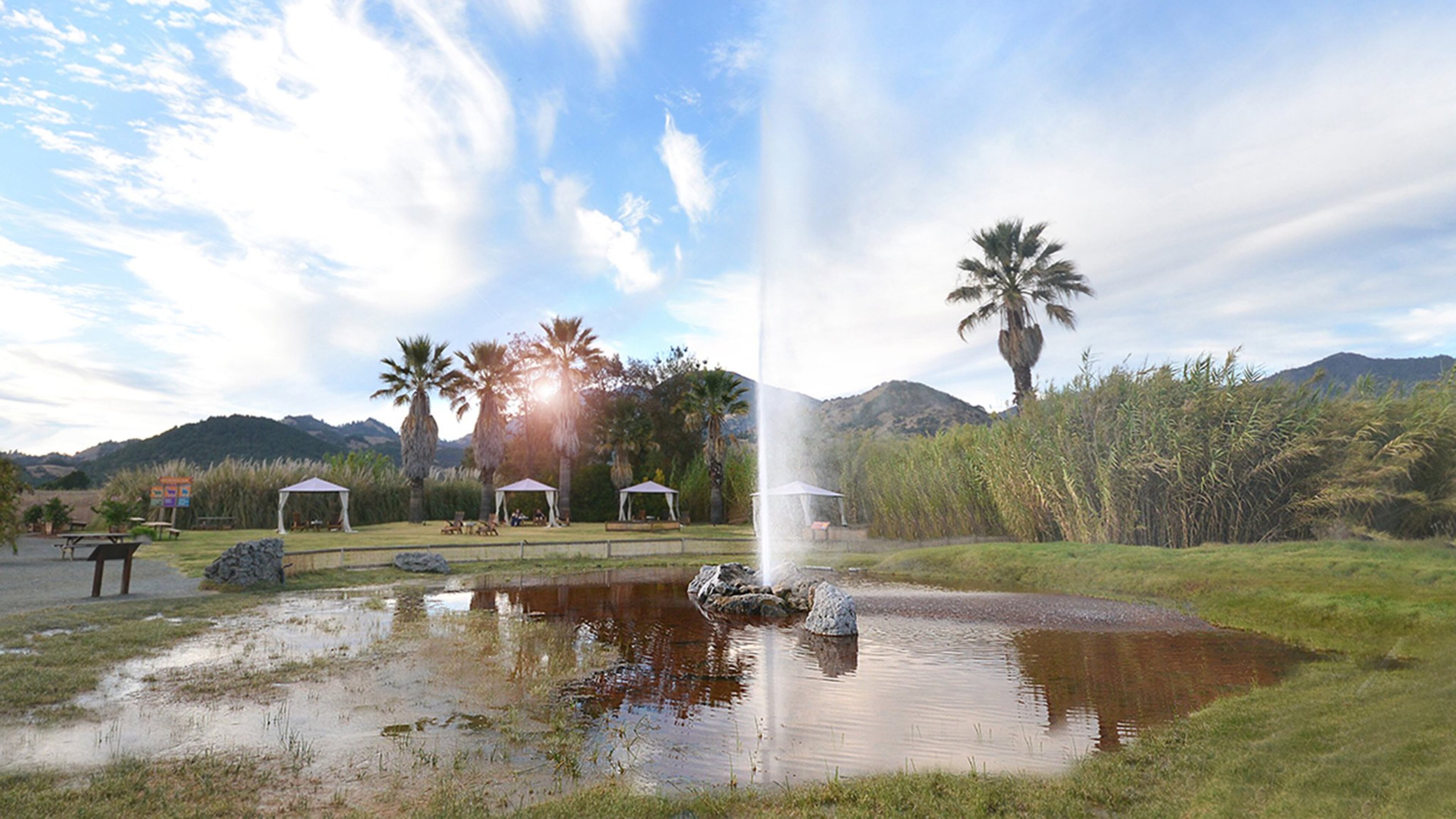 Old Faithful Geyser at his best. (Handout/TNS)