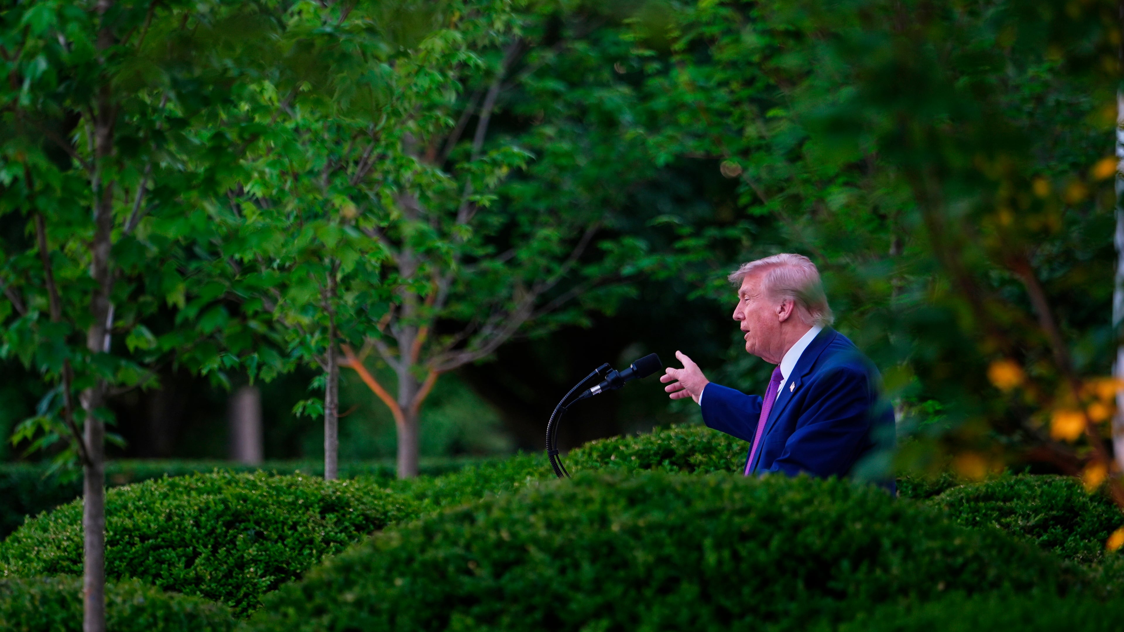 President Donald Trump speaks at a dinner for members of his administration and law enforcement organization leaders, during National Police Week, in the White House Rose Garden, Monday, May 11, 2026, in Washington. (AP Photo/Julia Demaree Nikhinson)