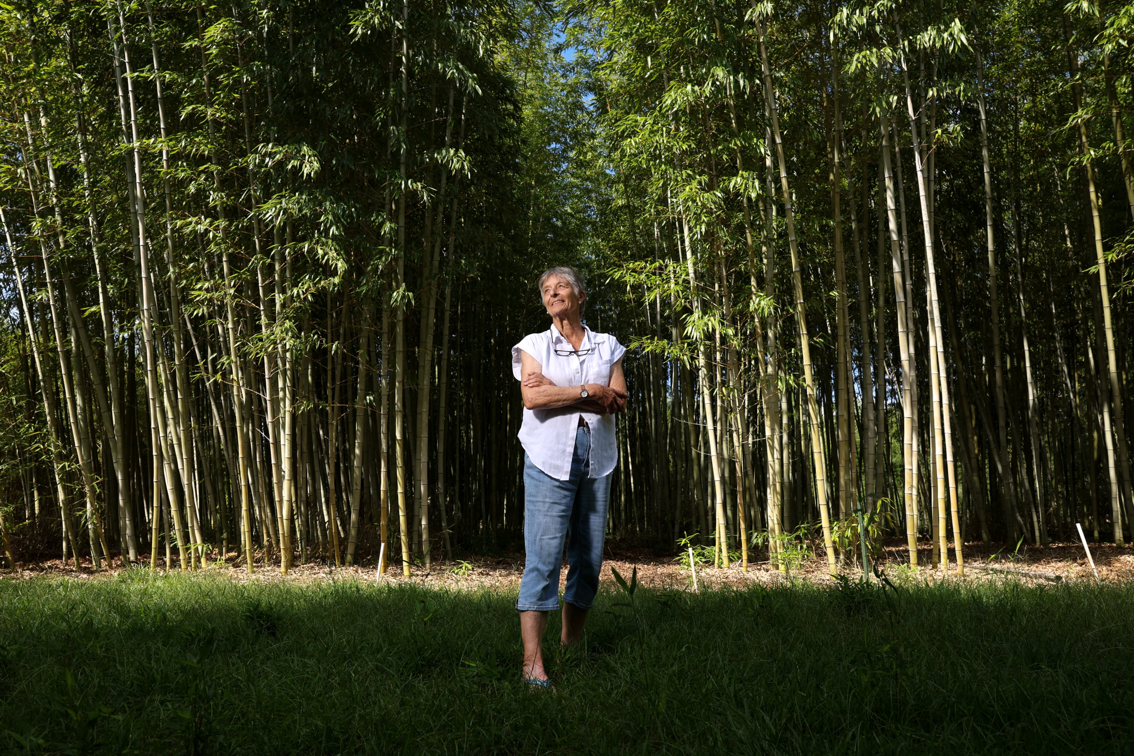 Daphne Lewis poses for a portrait at her bamboo farm in Hawkinsville. (Arvin Temkar/AJC)