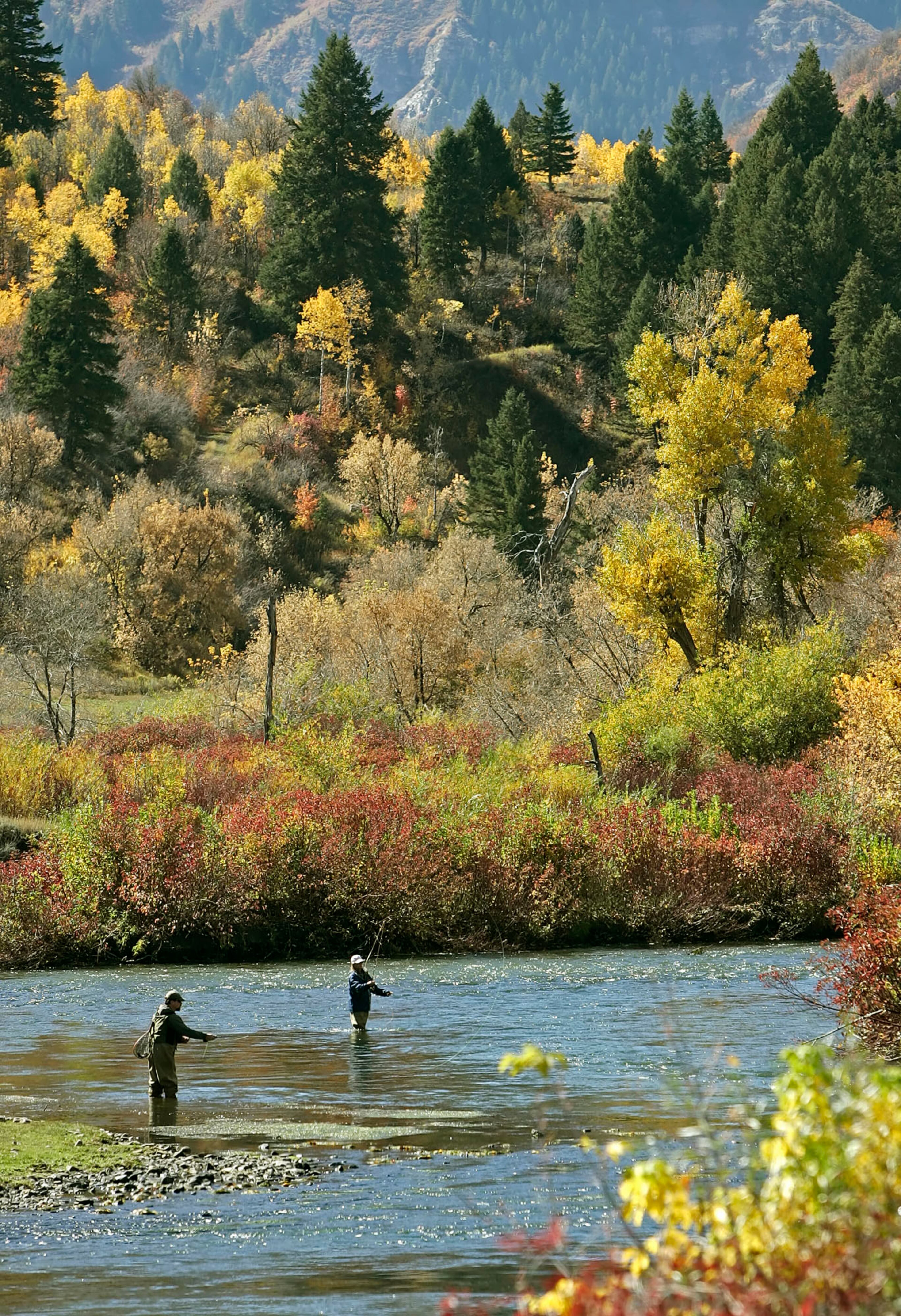 March marks the arrival of National Nutrition Month, and to celebrate, Foursquare has released its 2nd annual list of most and least healthiest cities. Foursquare has looked at data from more than 3 billion check-ins to determine the healthiest eaters in the country based on check-ins to healthy spots like juice bars, salad shops, yoga studios, tracks and gyms over the last year.
