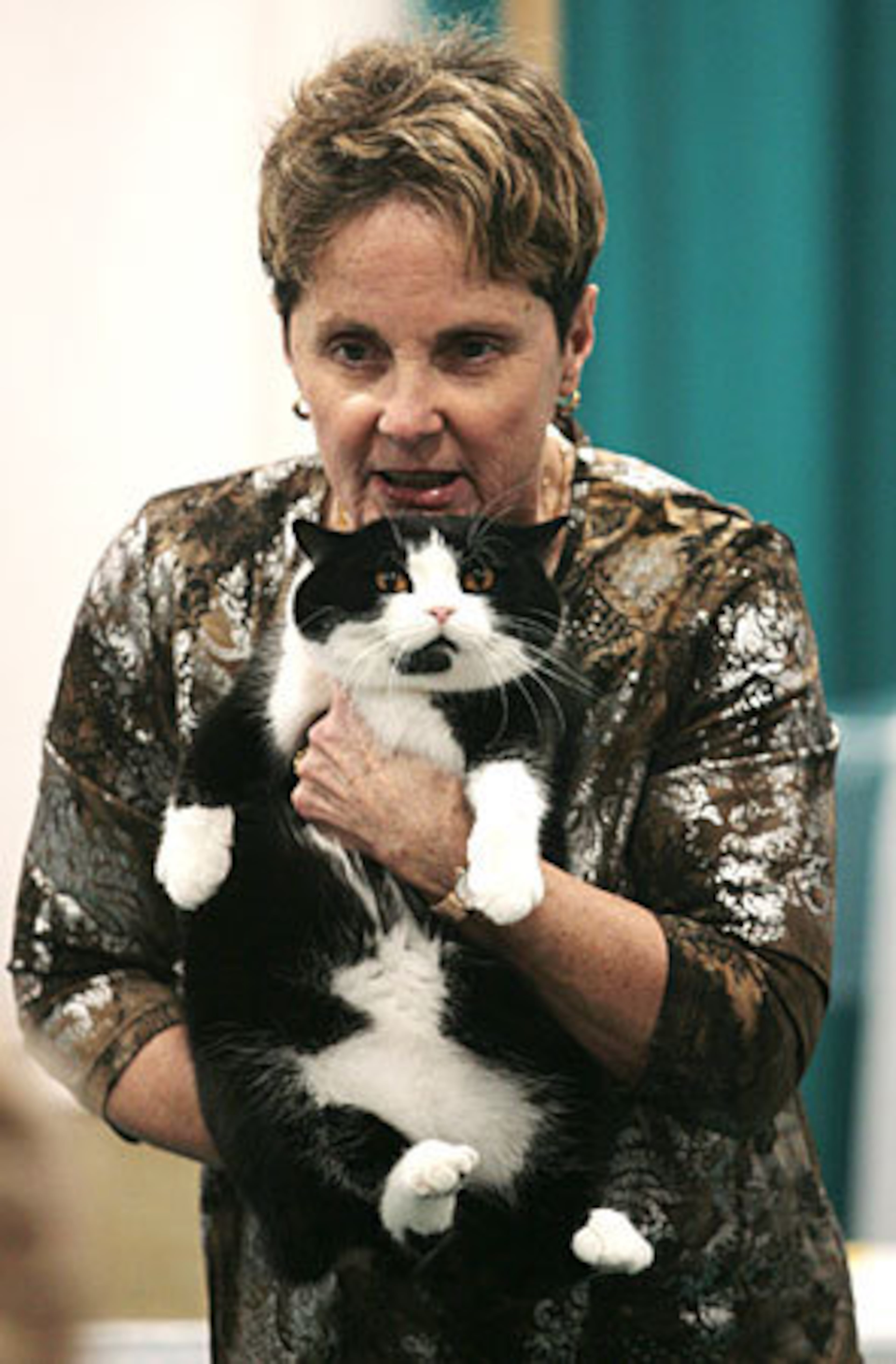 Judge Pam Delabar, president of CFA, holds Deydream High Hopes, a 3-year-old short-haired Manx, as she announces the cat as her pick for "Best Cat" in Premiership class.