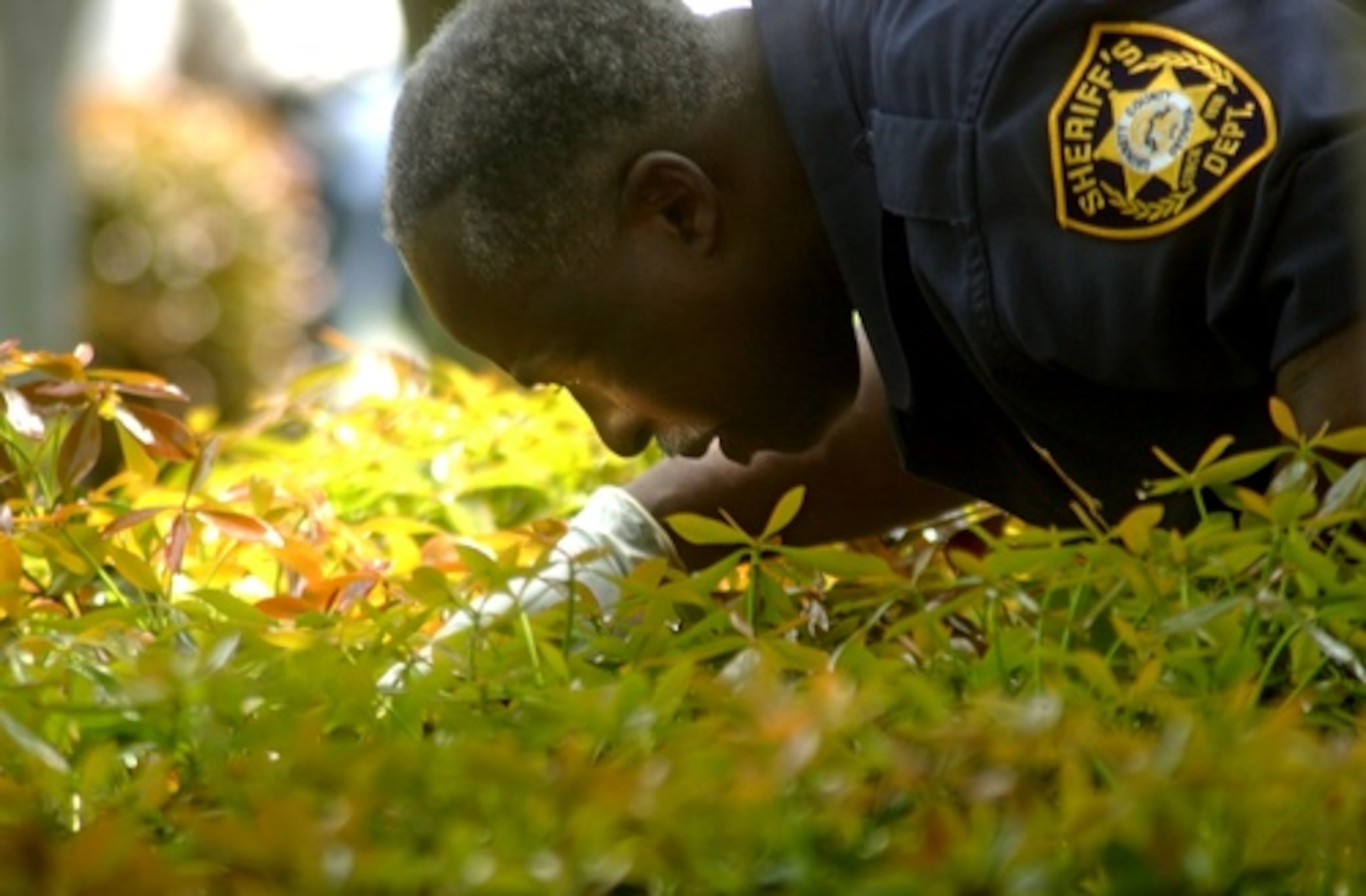 The city of Duluth estimates that it spent more than $43,000 in overtime costs during its police department's fruitless search for Wilbanks. In this photo, Gwinnett Co. Sheriff deputy Dan Reavis wearing rubber gloves carefully searches for any evidence of Wilbanks' trace.