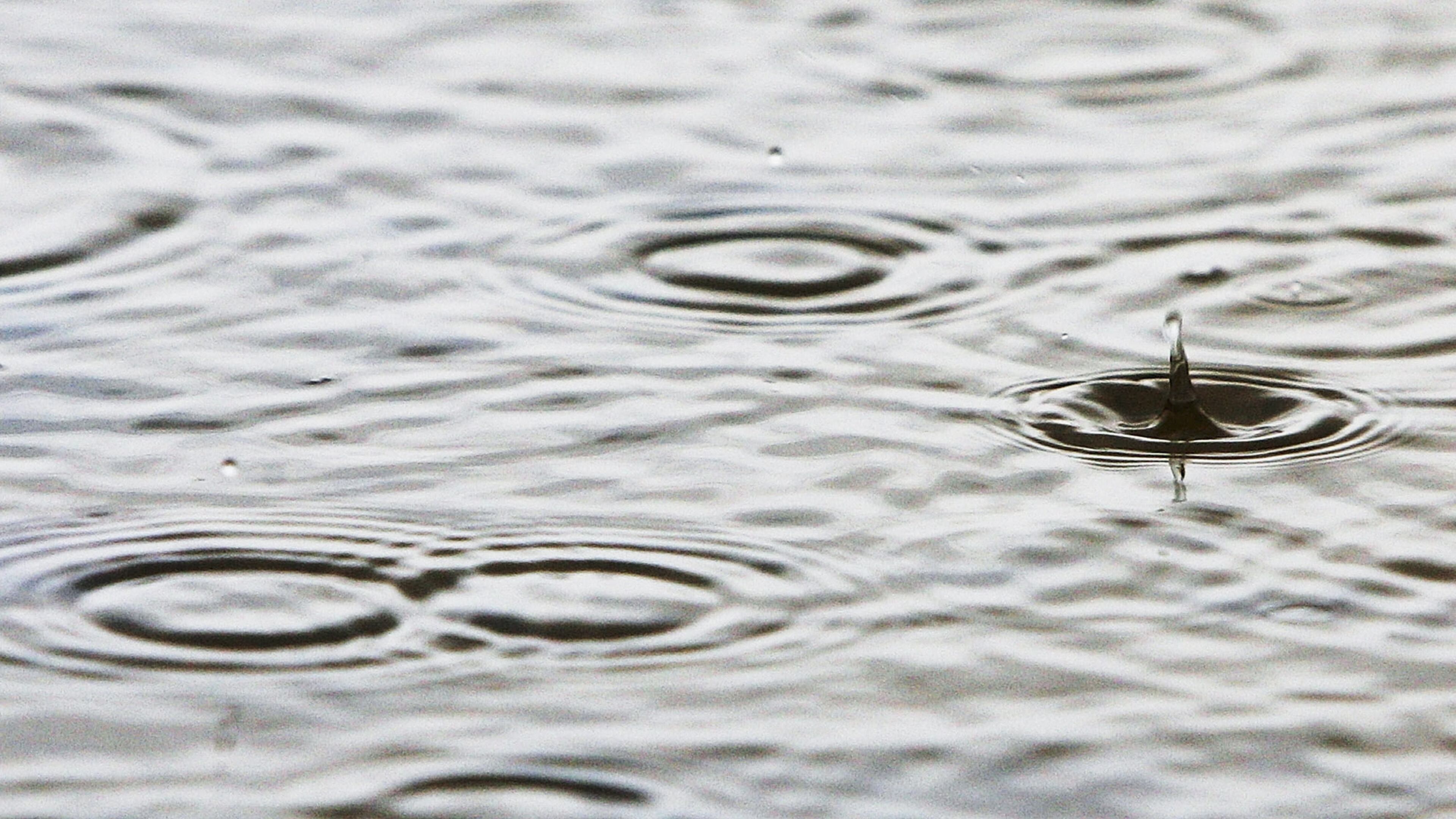 (Photo by Ian Waldie/Getty Images)
