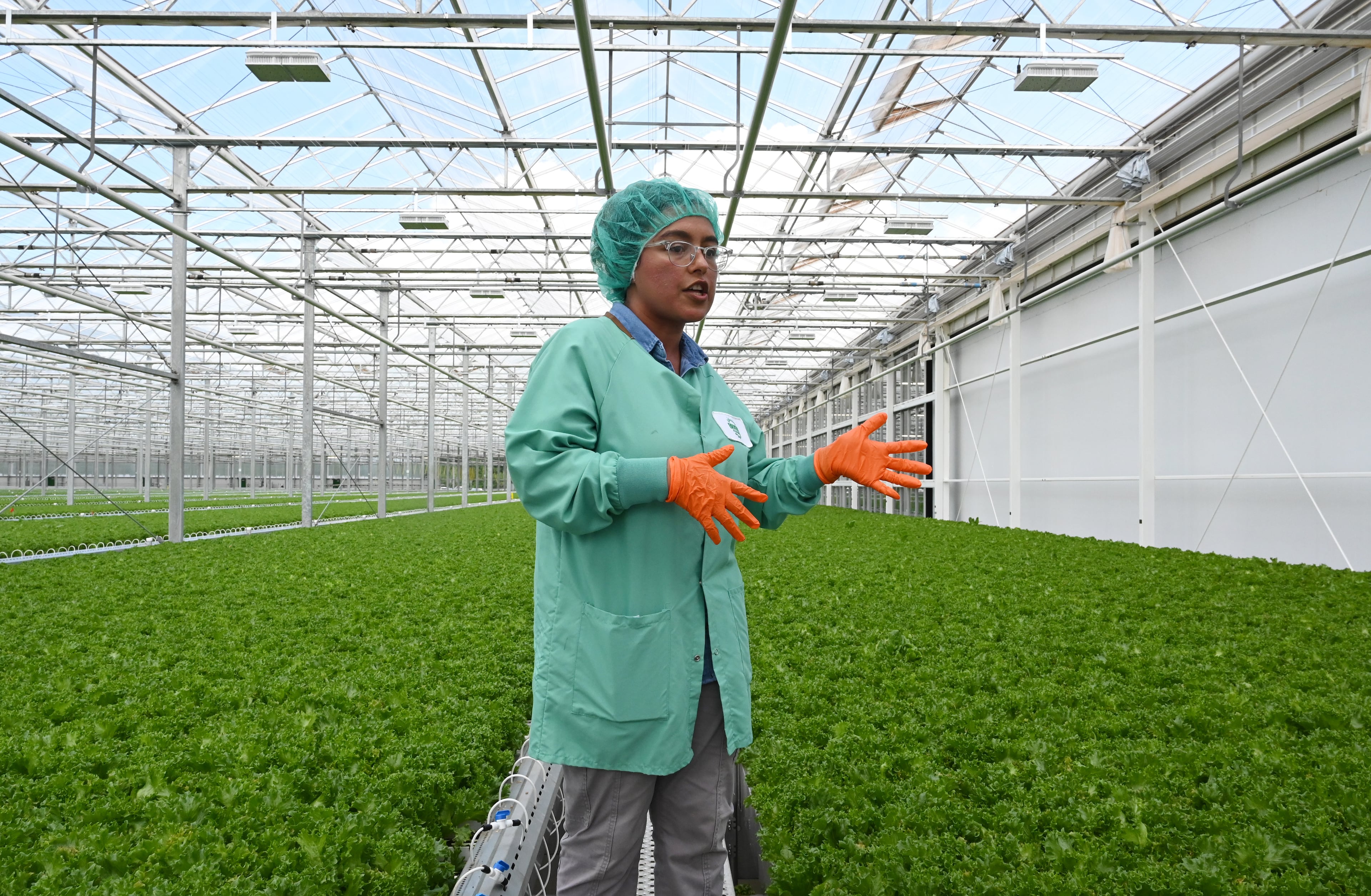 In the harvesting room, Mariana Robles and other workers wear a lab coat, safety glasses, gloves, hairnet and shoe covers as they monitor the mechanical harvesting process. (Hyosub Shin/AJC)
