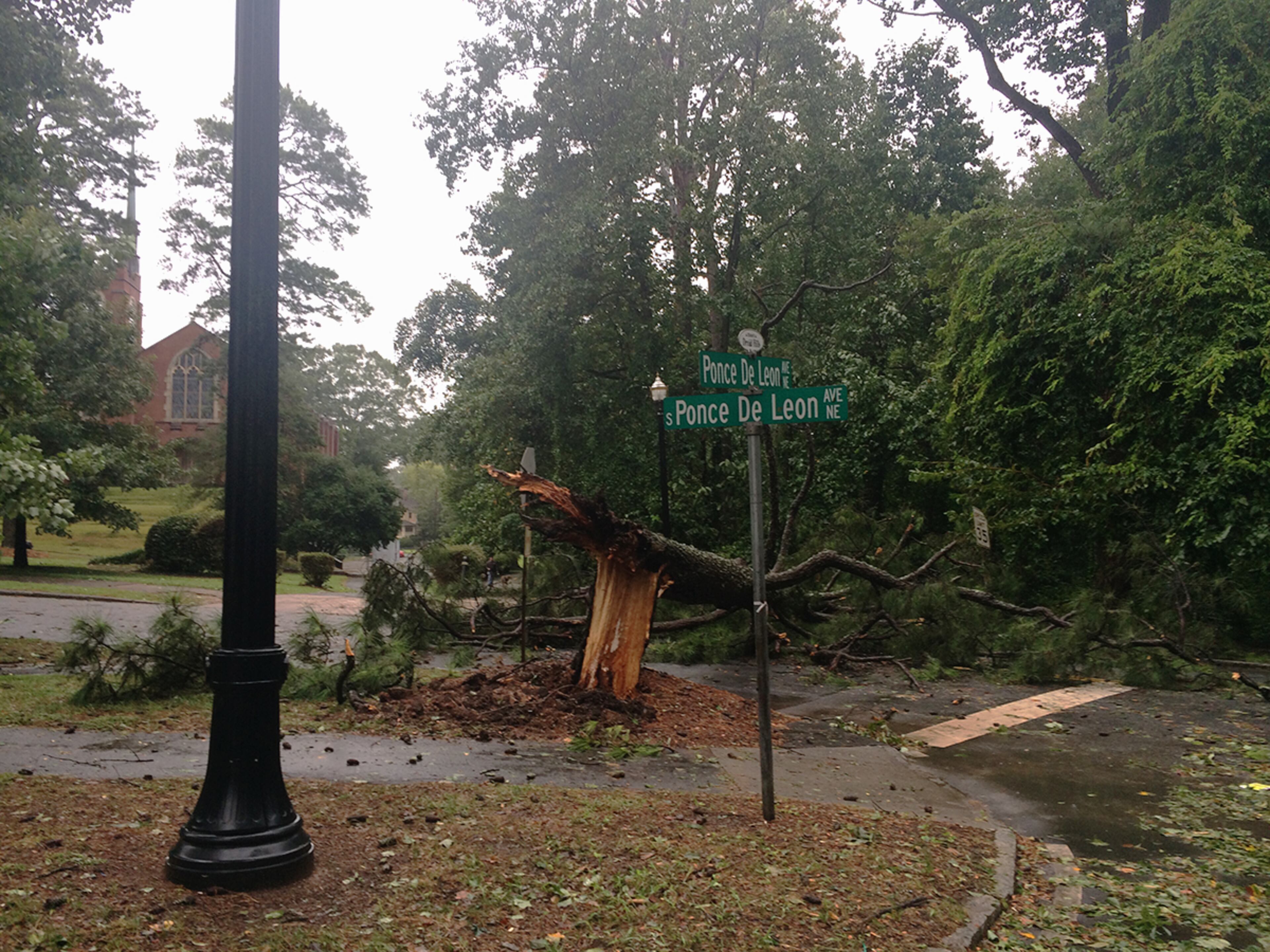 Atlanta: A tree blocks South Ponce de Leon Avenue near the bridge over Lullwater Creek in Druid Hills on the morning of Tuesday, Sept. 12, 2017 in the aftermath of Tropical Storm Irma. The fallen tree narrowly missed blocking the entrance to Freedom Parkway Trail. (Pete Corson / pcorson@ajc.com)