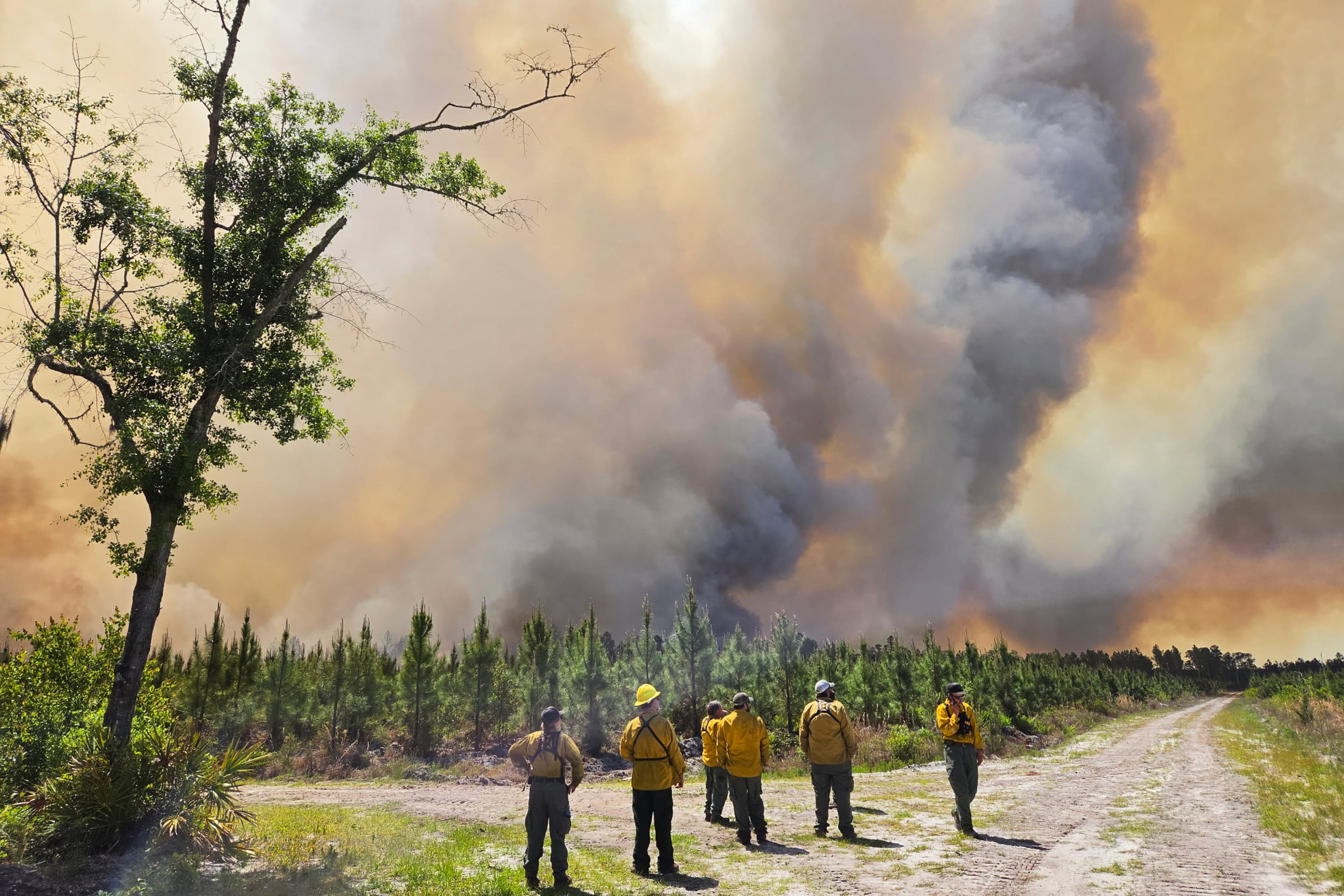 Firefighters responding to the Pineland Road Fire in April. (Georgia Department of Natural Resources via AP)