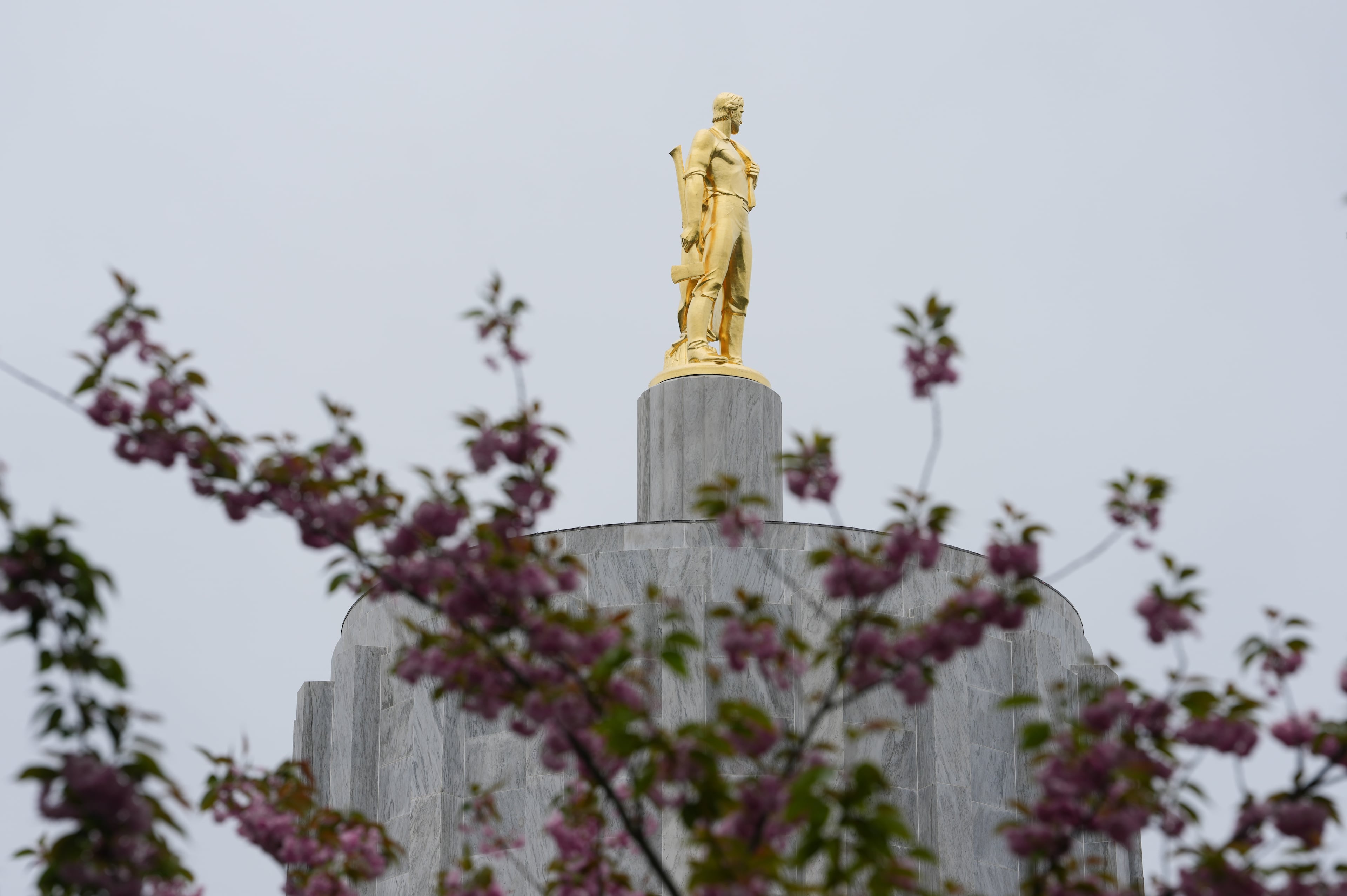 Election 2026 Decision Notes Oregon