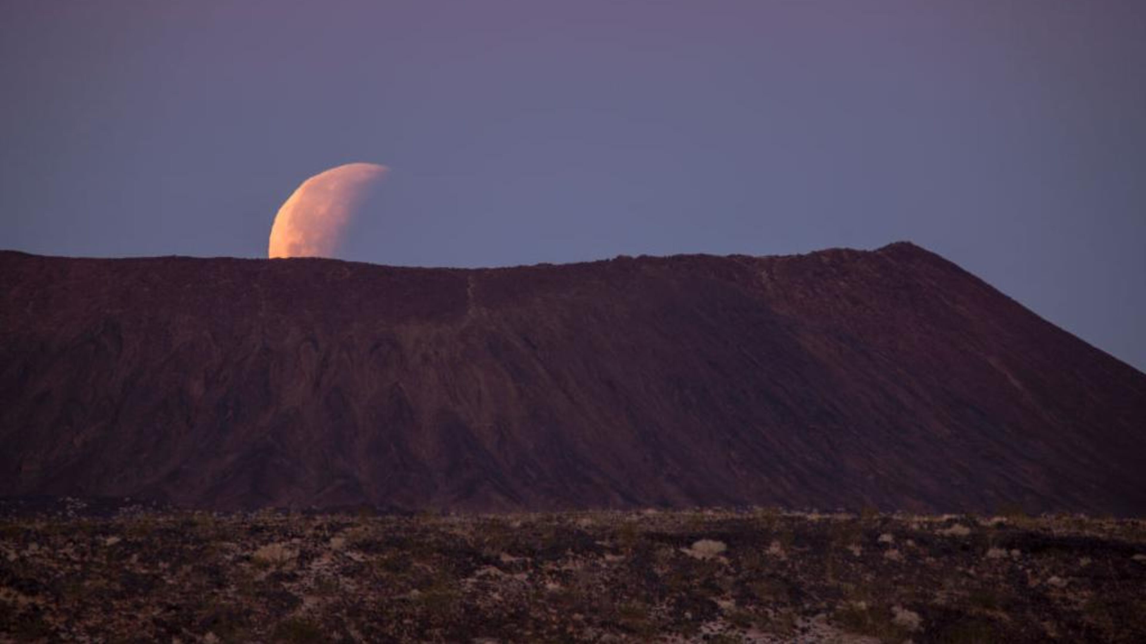 A battle in the desert between a roadrunner and a snake was caught in a dramatic video.