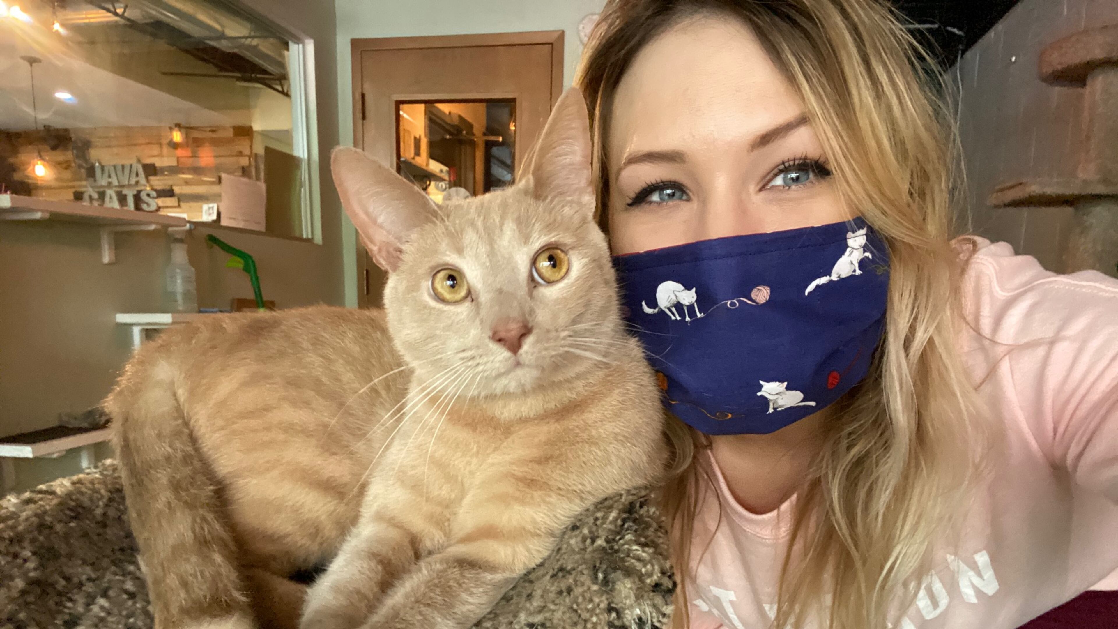 Hadyn Hilton, owner of Java Cats, with her buddy KB, who has since been adopted.