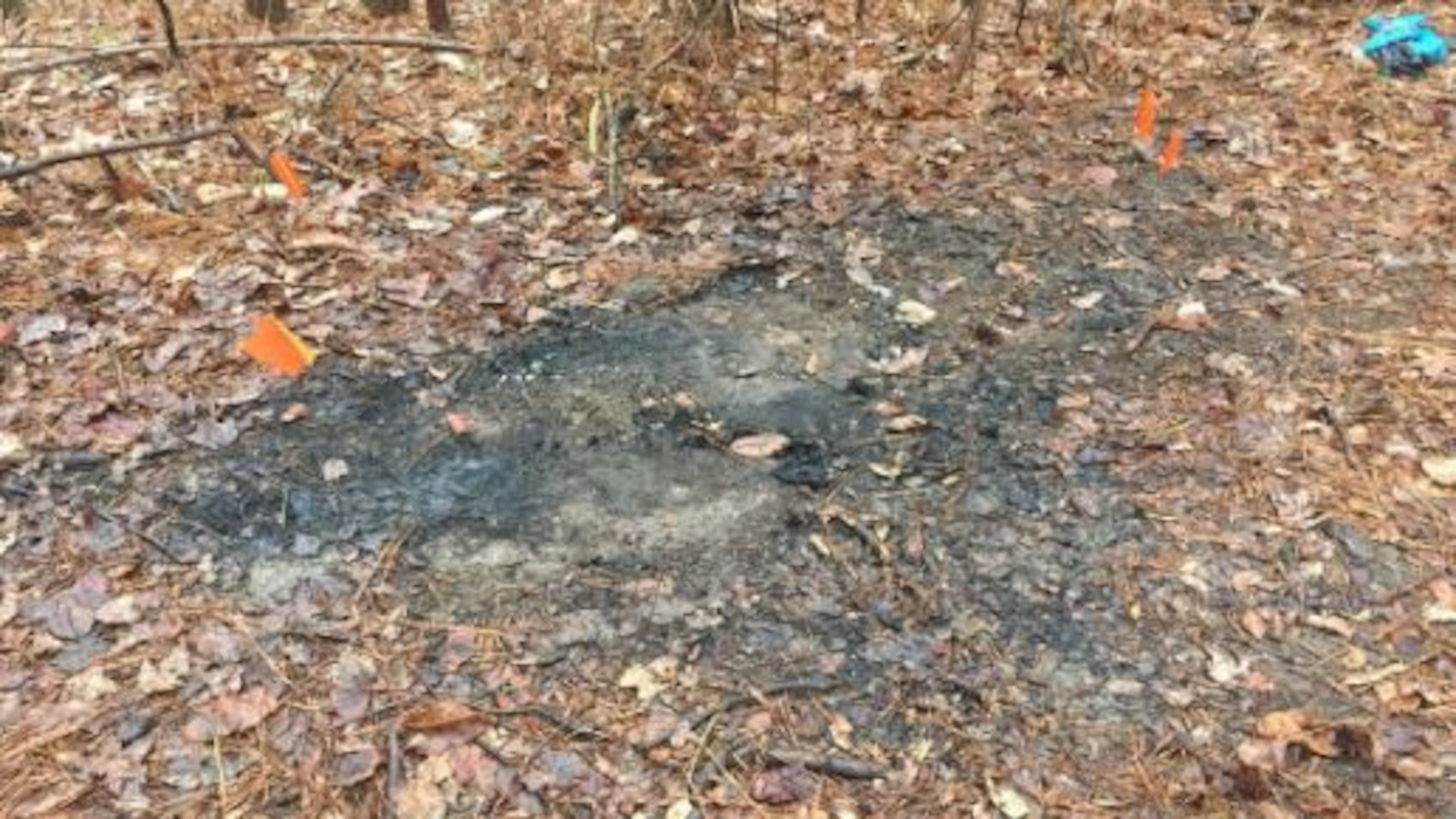 The burned body of a man was found in a wooded area of Whitfield County. (Credit: Dalton Daily Citizen)