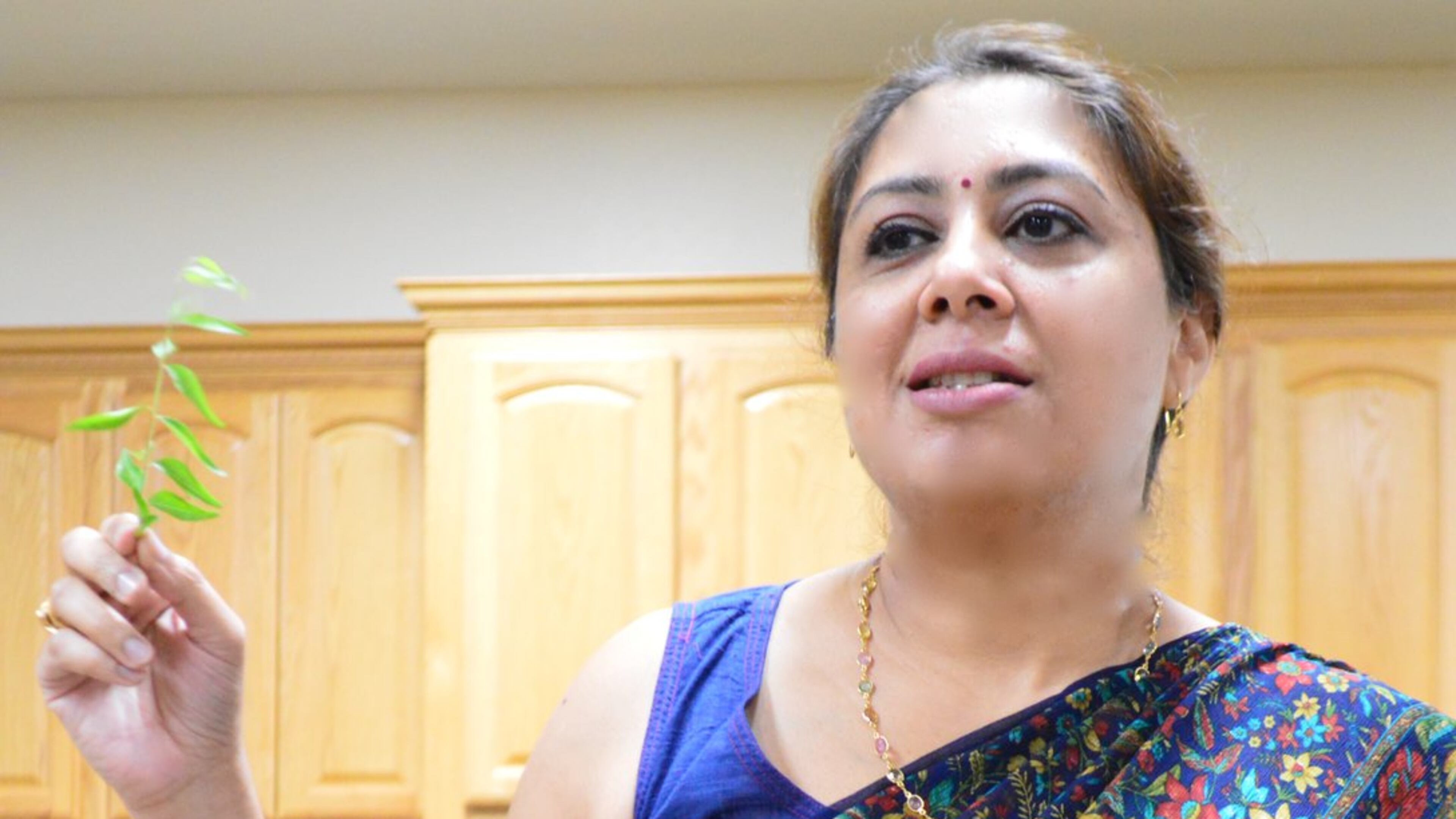 Author Nandita Godbole will appear Dec. 11 at Bookmiser.