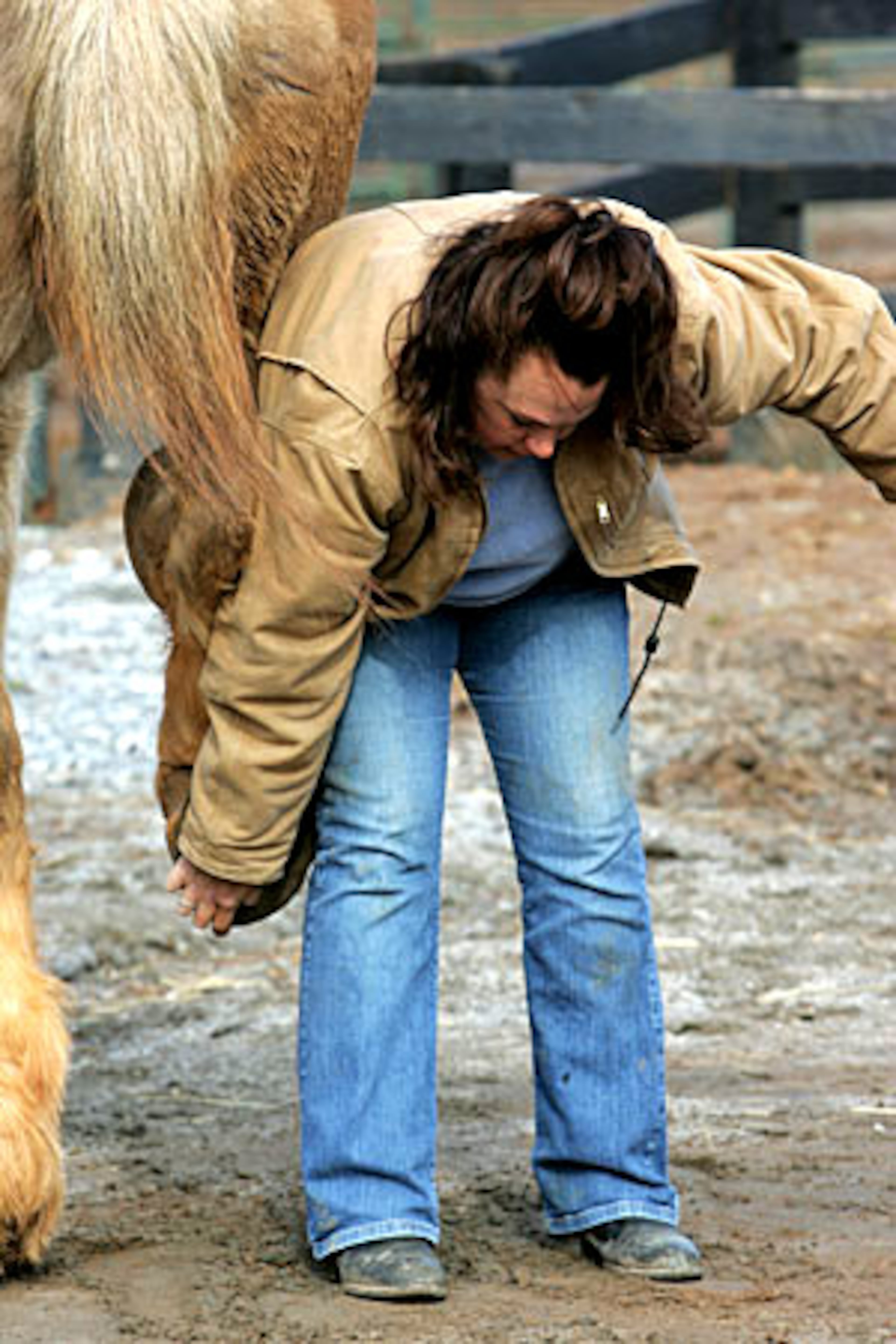 In the past year, Flanagan said she's taken in horses from an owner in south Georgia, whose pastures dried up and from college students who could no longer afford to support their animals.