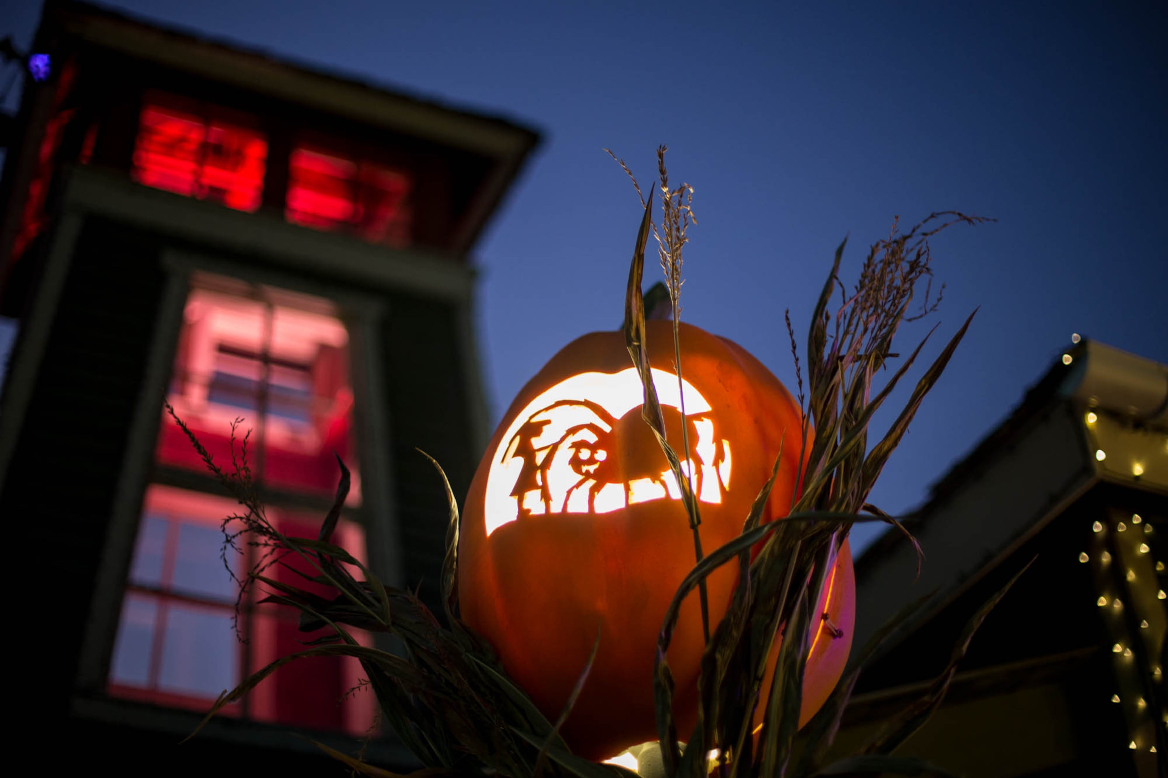 PROVIDED BY STONE MOUNTAIN PARK