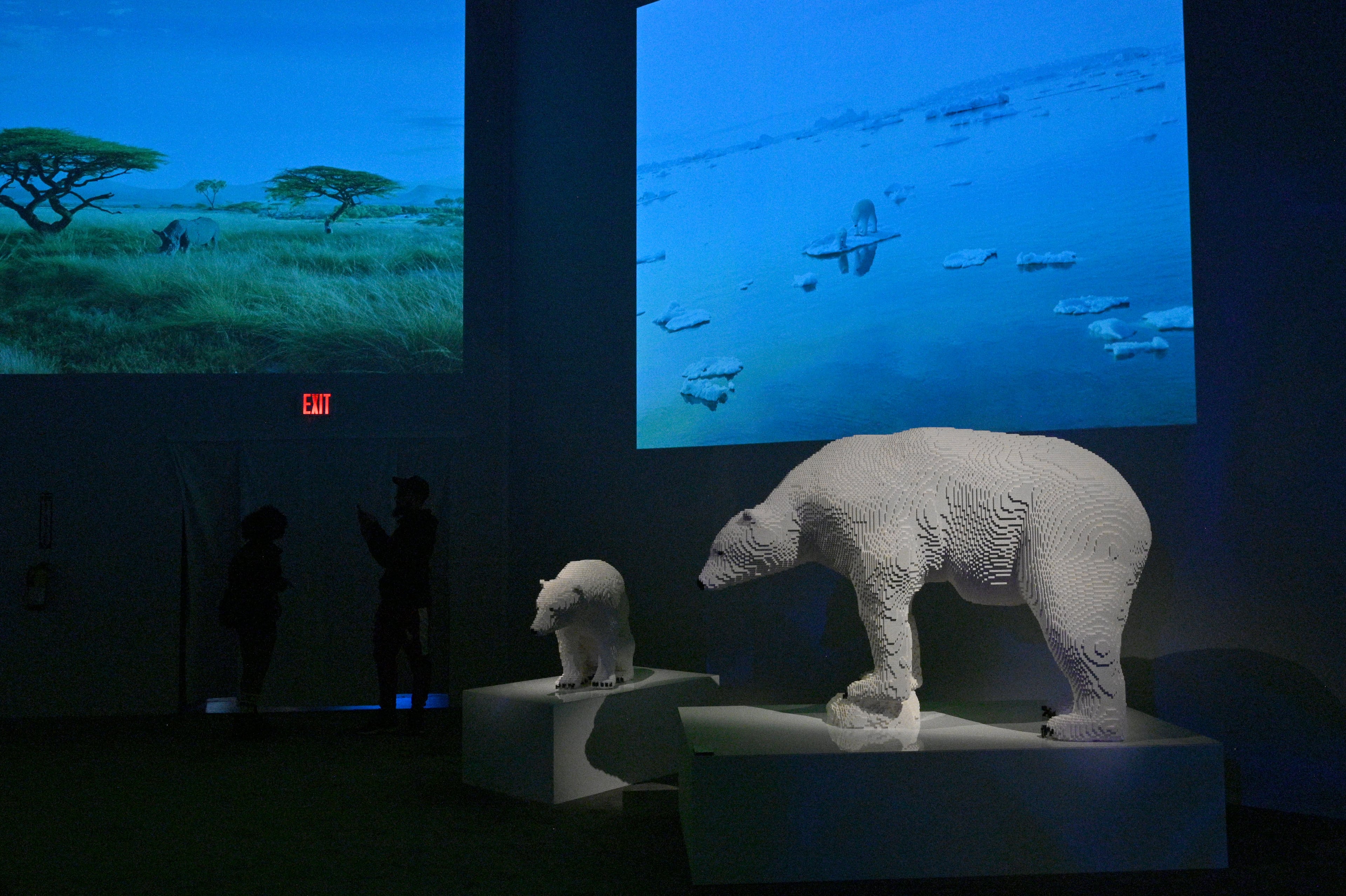 “Polar Bear and Cub” made with 50,726 Lego bricks in “Perniciem” room at "Art of the Brick Immersive Experience" exhibition at Exhibition Hub Atlanta Art Centre, Wednesday, April 19, 2023, in Doraville. The exhibition will feature many pieces and themes, including a room with oversized sculptures (25-foot long), over 70 works of art crafted from more than 1 million LEGO bricks, galleries celebrating human-kind and nature, and a short documentary about how Nathan creates his works. (Hyosub Shin / Hyosub.Shin@ajc.com)