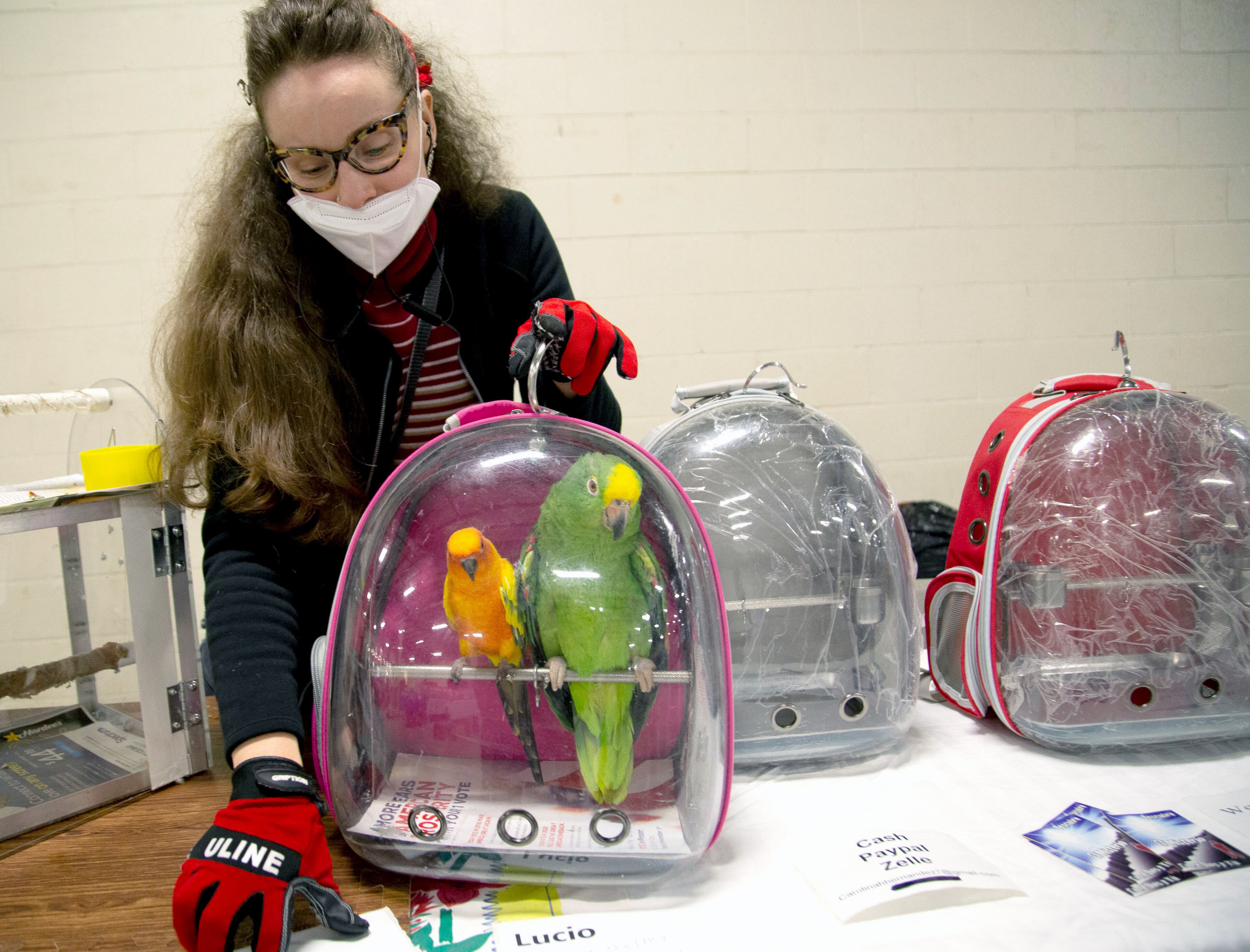 Carolina Hernandez organizes her bird carriers she sells at the Southeast Exotic Bird Fair at the Gwinnett County Fairgrounds on Saturday, December 5, 2020. (Photo: Steve Schaefer for The Atlanta Journal-Constitution)