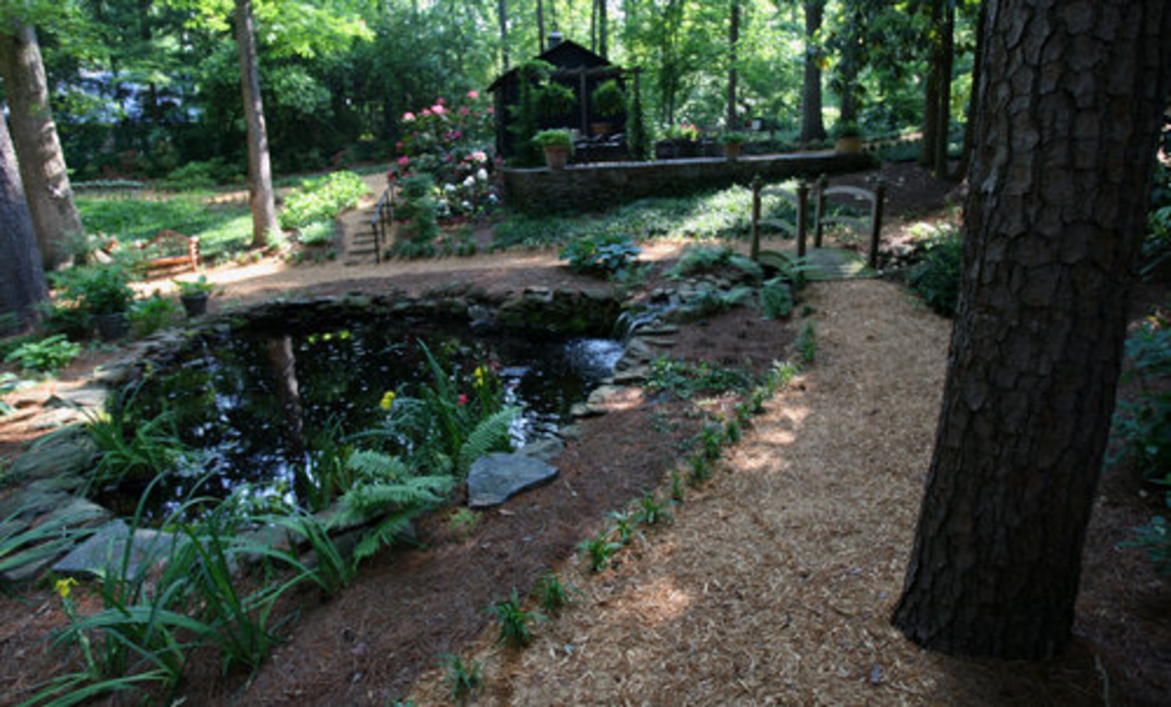 This garden has a 6,000 gallon rainwater holding tank covered with a stamped concrete patio and arbor. The tank is part of an efficient water system where rainwater flows from gutters to the underground holding tank and it is recycled into the pond over multiple small waterfalls and under a bridge.