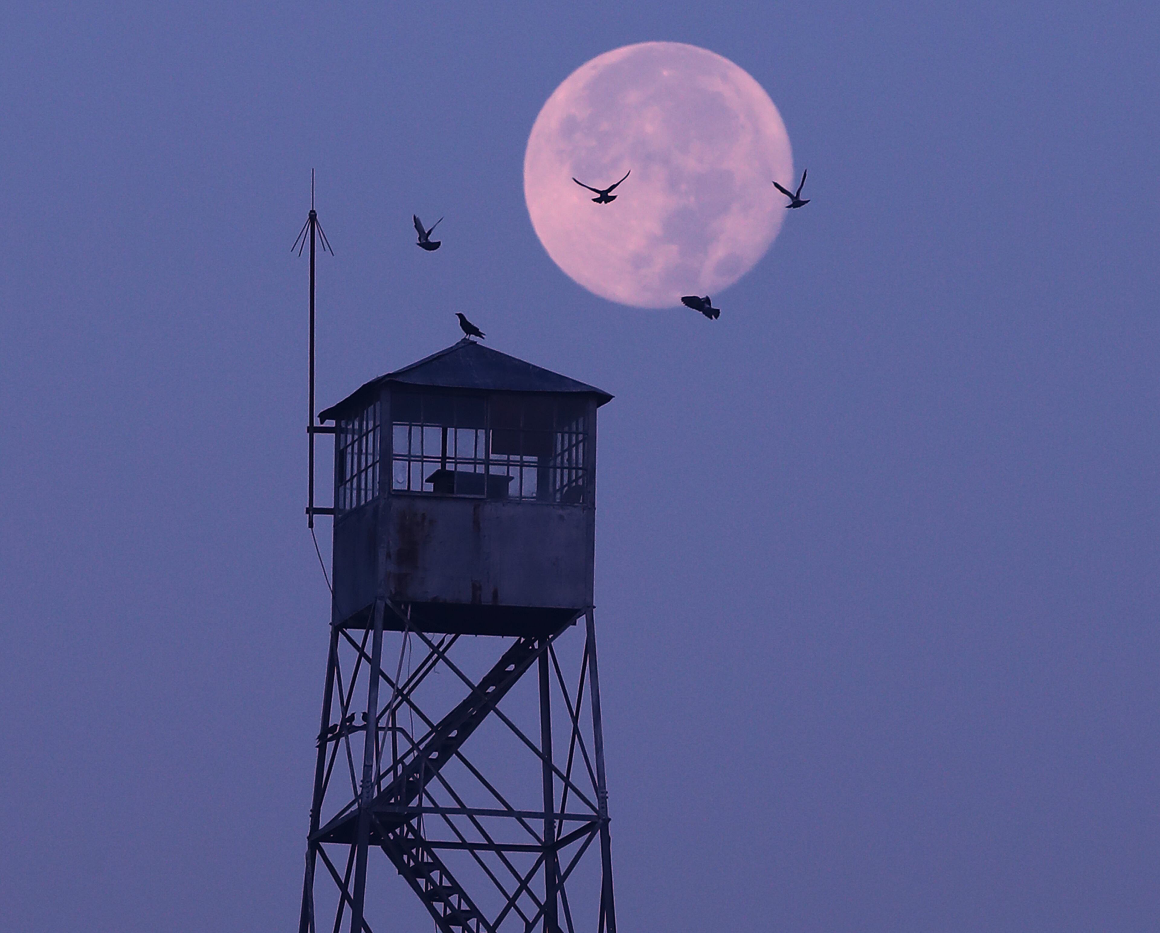November 15, 2016, Madison: The supermoon hangs in the sky over a fire service look out tower shrouded in a smokey haze from wildfires in northern Georgia as birds come in to land on the roof on Tuesday, Nov. 15, 2016, near Madison. It is another code red smog alert day because of the air quality due to the fires. Curtis Compton/ccompton@ajc.com