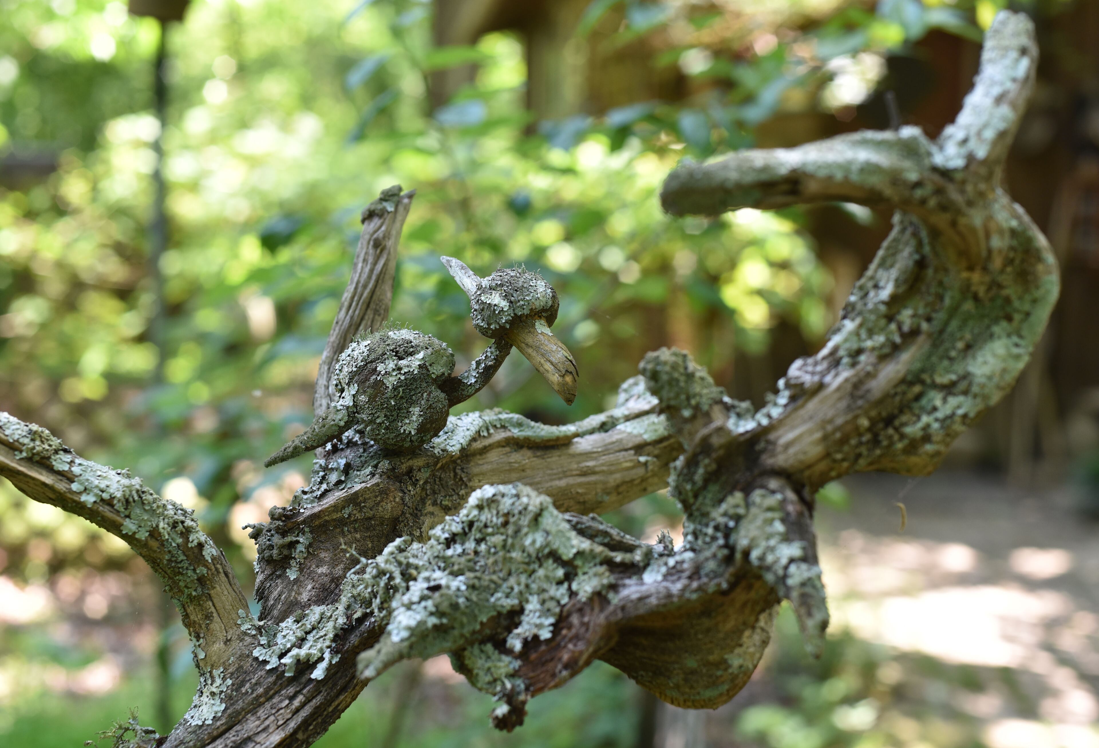 May 9, 2015 Summerville - Wood sculpture by Tom and Judy Touchstone in Armuchee, outside Summerville, on Saturday, May 9, 2015. In advance of Finster Fest, May 30-31 in the northwest Georgia town of Summerville. Georgia's most famed folk artist, Finster was known as a great American eccentric, and plenty of eccentric places survive him in this gritty corner of the state. HYOSUB SHIN / HSHIN@AJC.COM