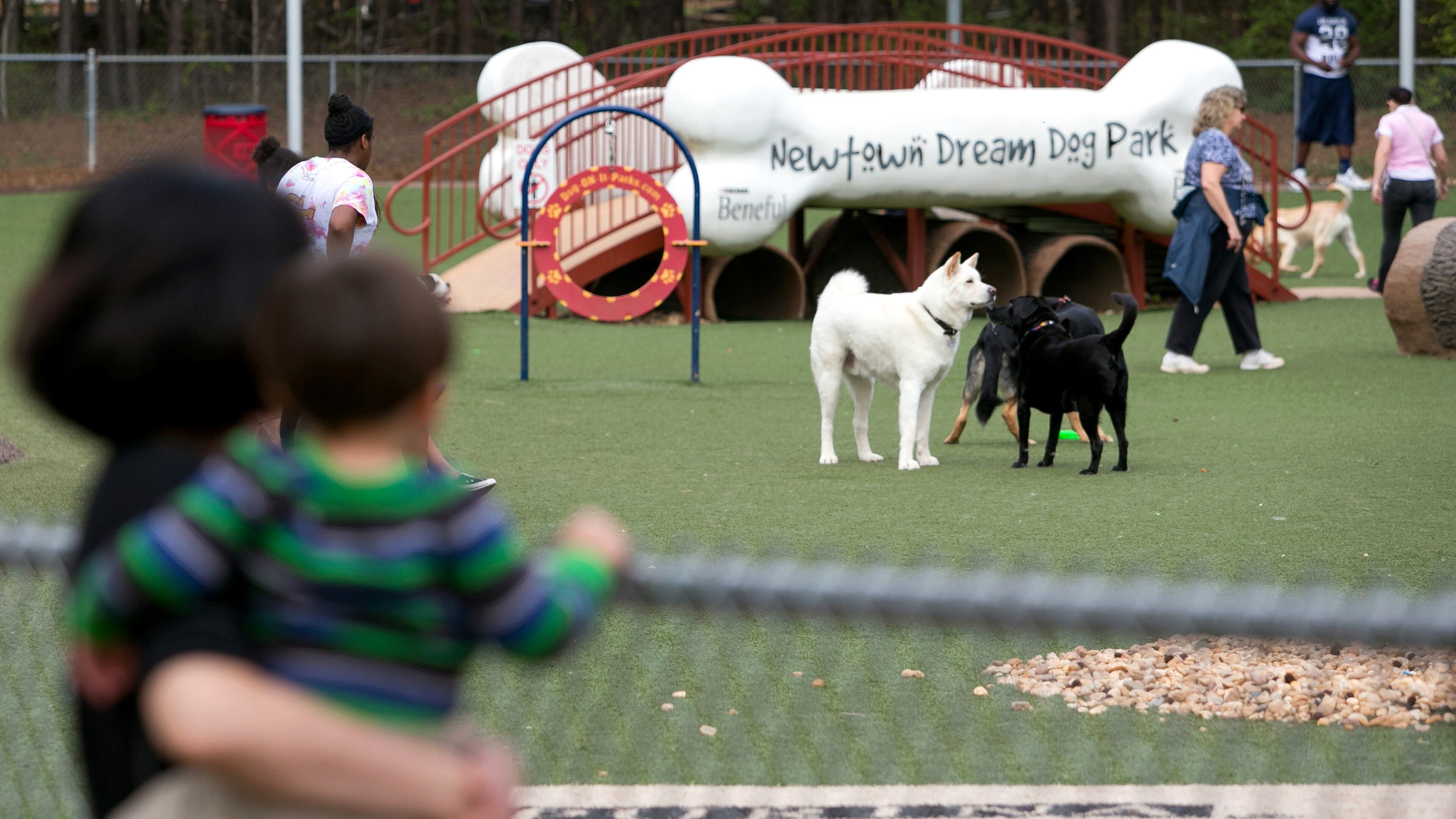 Newtown Dream Dog Park boasts water fountains and sprinklers and separate play areas for large and small dogs. A boy and his mother watch dogs play at the dog park at the park Saturday, March 21, 2015, in Johns Creek. PHOTO / JASON GETZ