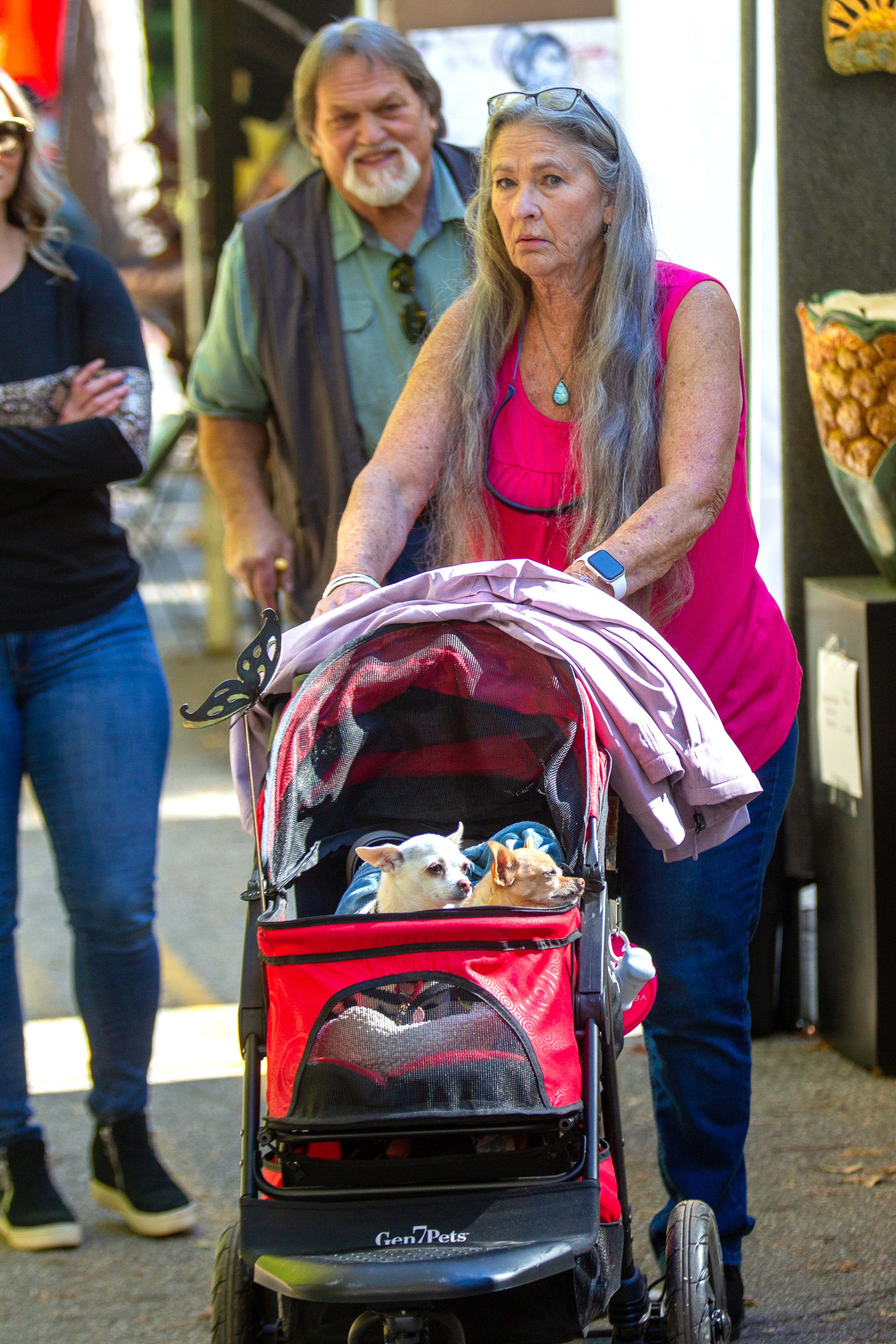 Bonnie Cunningham walks her two Chihuahuas through Chastain Park Fall Arts Festival on Sunday, November 7, 2021. STEVE SCHAEFER FOR THE ATLANTA JOURNAL-CONSTITUTION