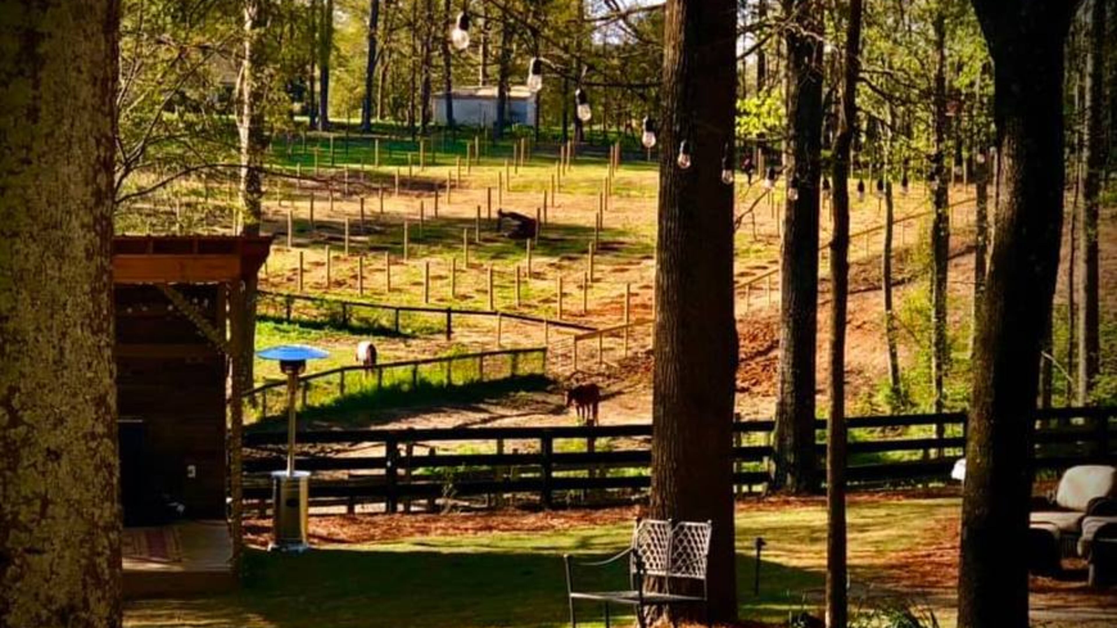 Milton has extended a moratorium on any farm winery seeking an alcohol license, building permit and or land disturbance application. (Courtesy The Painted Horse Winery)