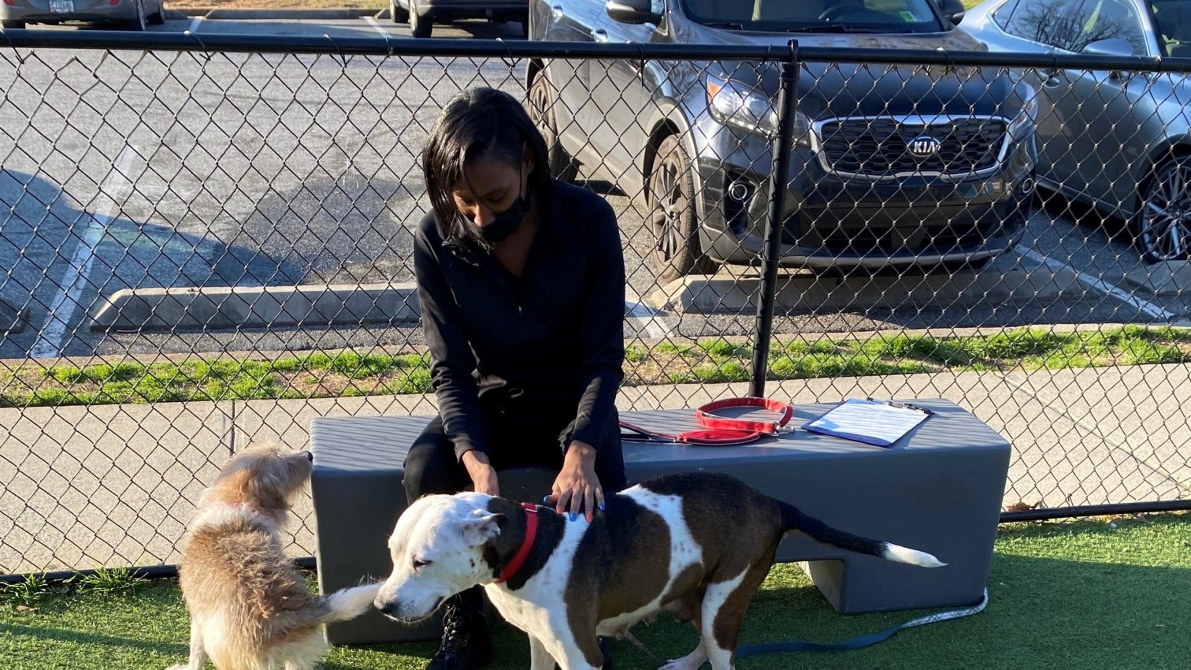 LaShaundria Bennett returned to Lifeline Animal Services Project to pick-up her dogs from foster care. Nikki is a Shih Tzu and Yorkie mix and Ben is a pit bull. Photo courtesy of Lifeline