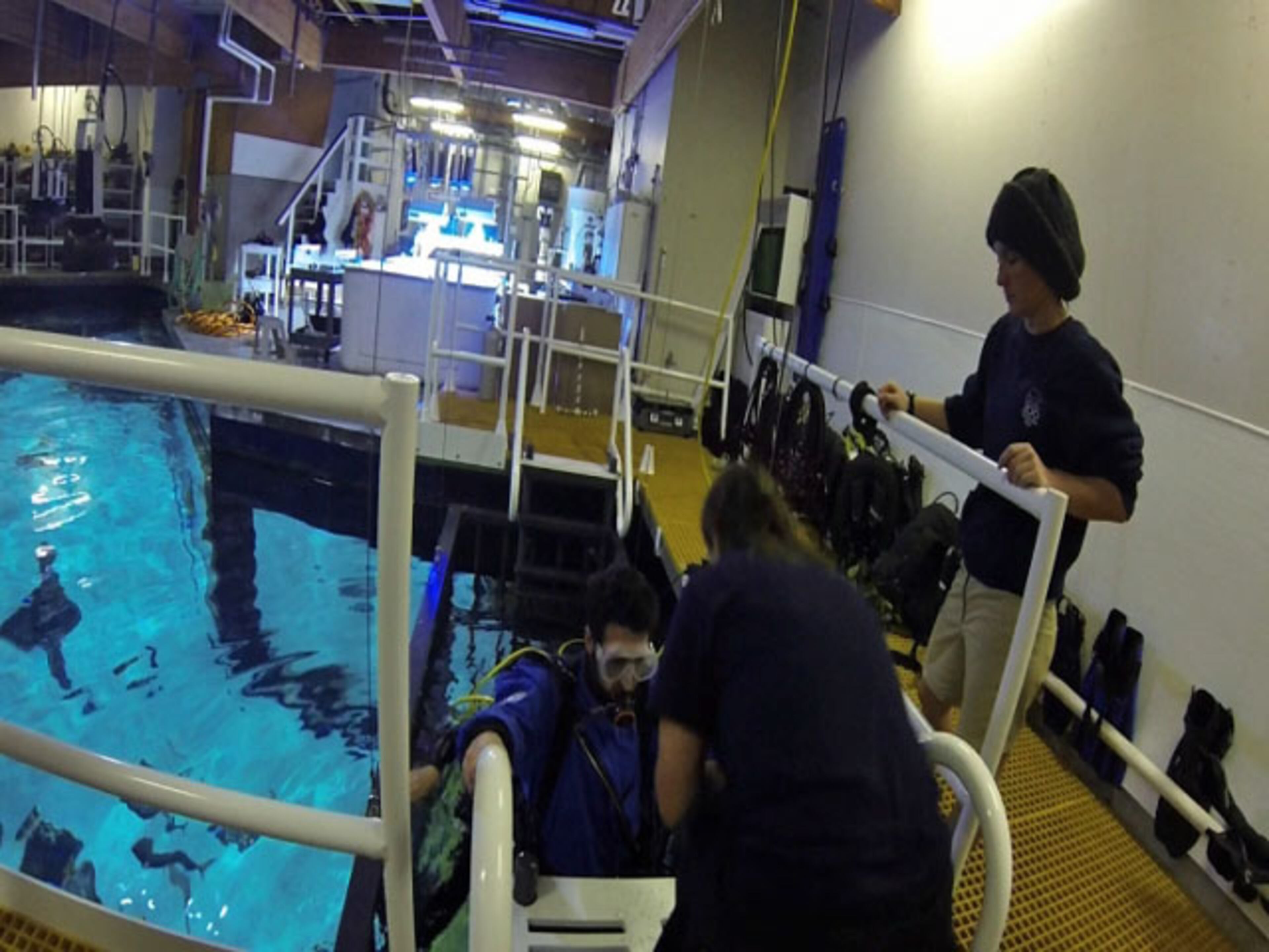 Prices for the cage dive are $50 for zoo members and $65 for non-members. The cost for the scuba dive is $160 for zoo members and $175 for non-members. Prices include admission to the zoo and aquarium and a souvenir Eye-to-Eye Shark Dive towel.