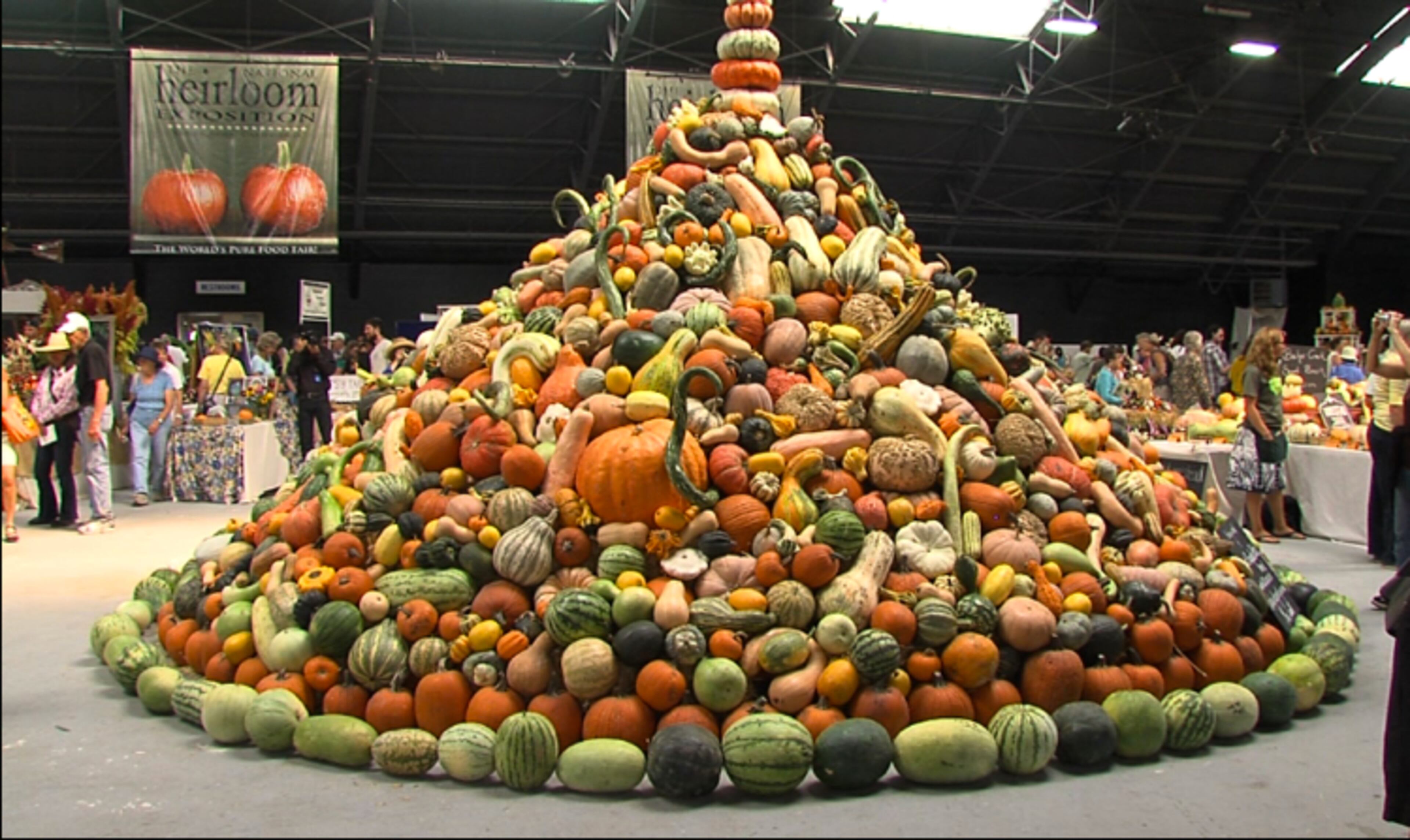 The 2012 National Heirloom Exposition at the Sonoma County Fairgrounds in Santa Rosa is a not-for-profit event centered around the pure food movement, heirloom vegetables, and anti-GMO activism.