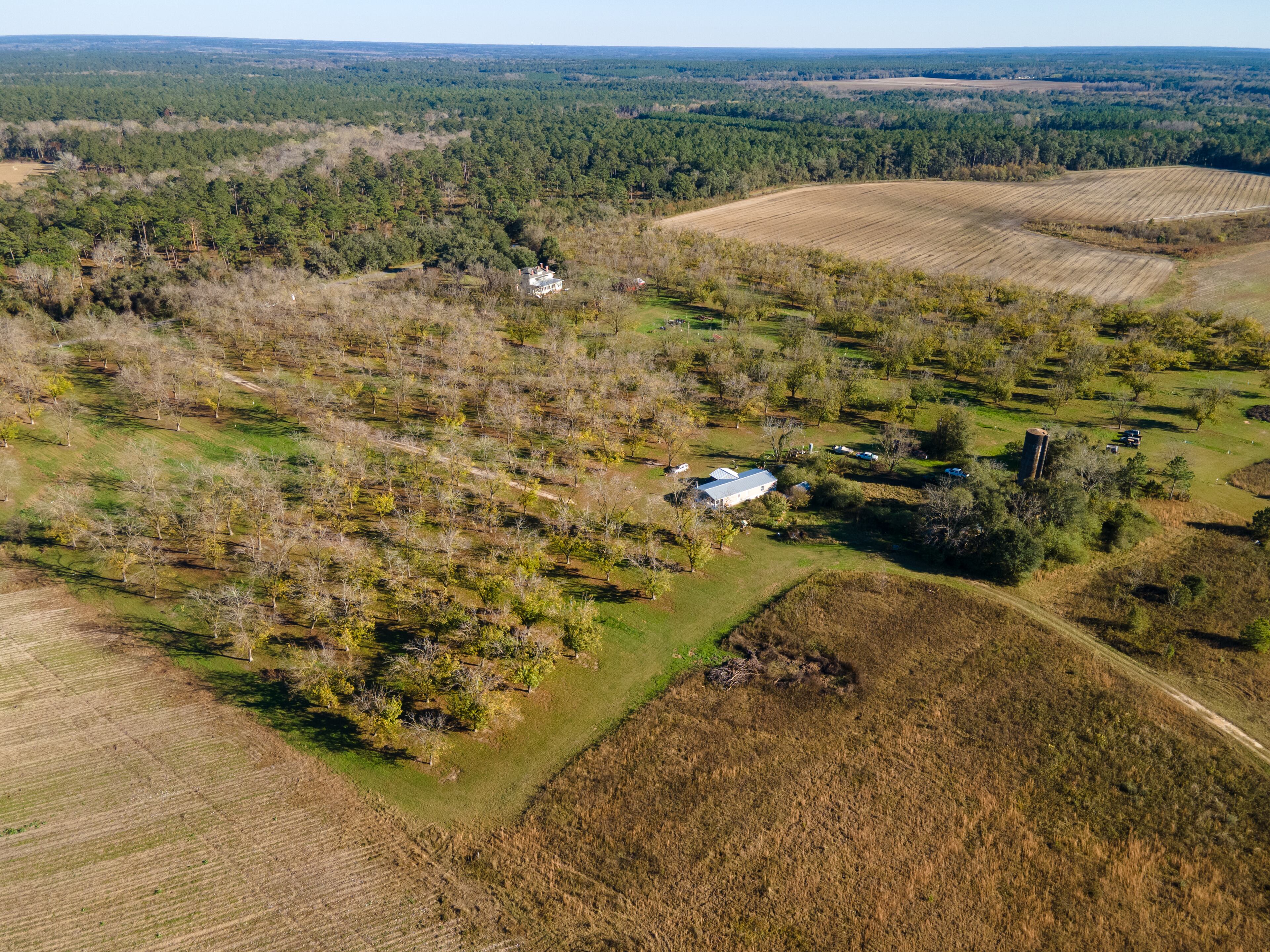Located at 8355 Old Madison Road, this Quitman, Georgia estate is currently on the market for $2,100,000.
Courtesy of David Burnett and the Canopy Realty Group