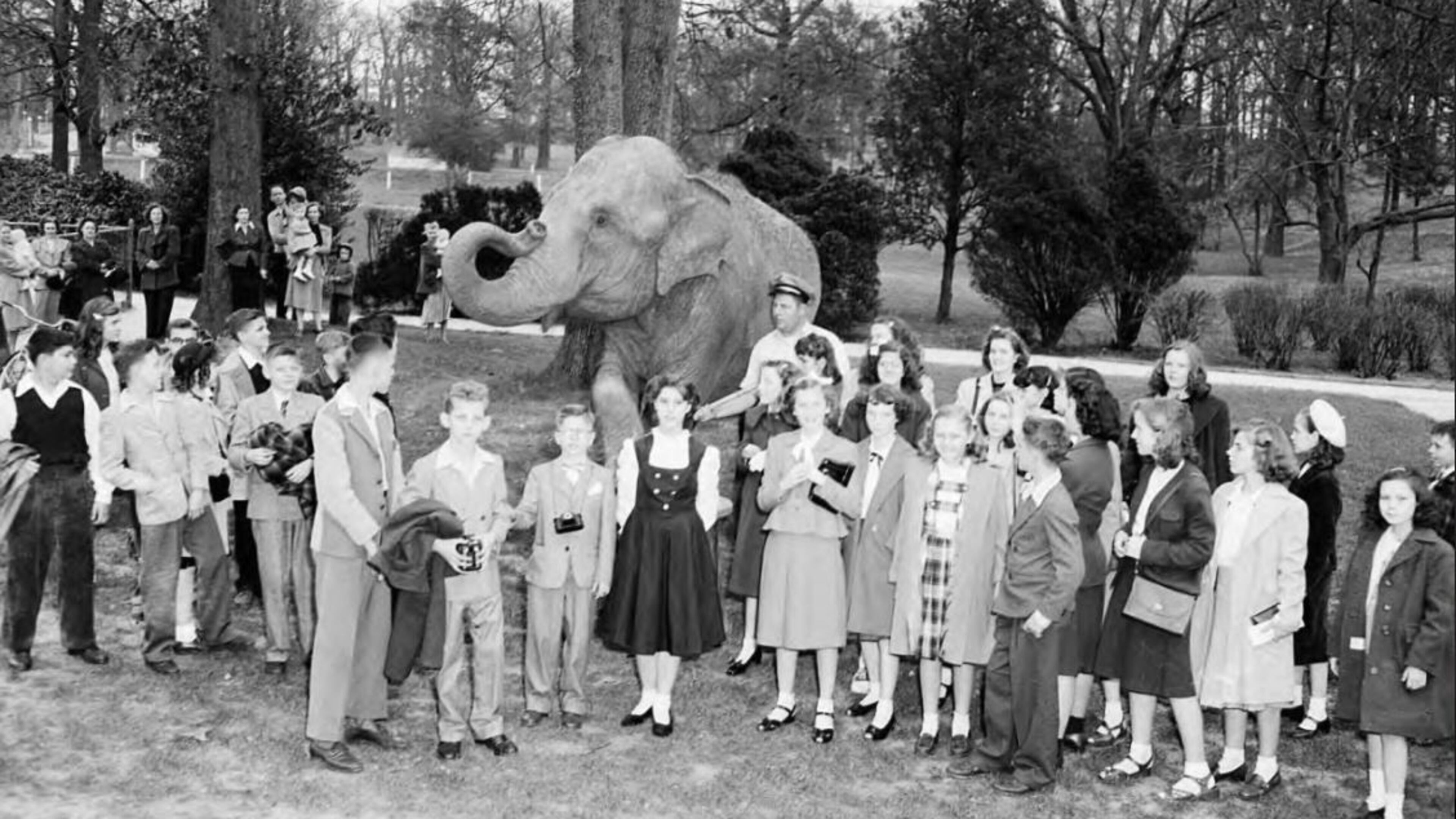 In the early part of the 20th century, APS superintendent Willis Sutton had to fight City Hall to retain "frills" that he deemed essential to children's well-rounded education. Here is a school group visiting the then Grant Park Zoo on a field trip. (AJC archives.)