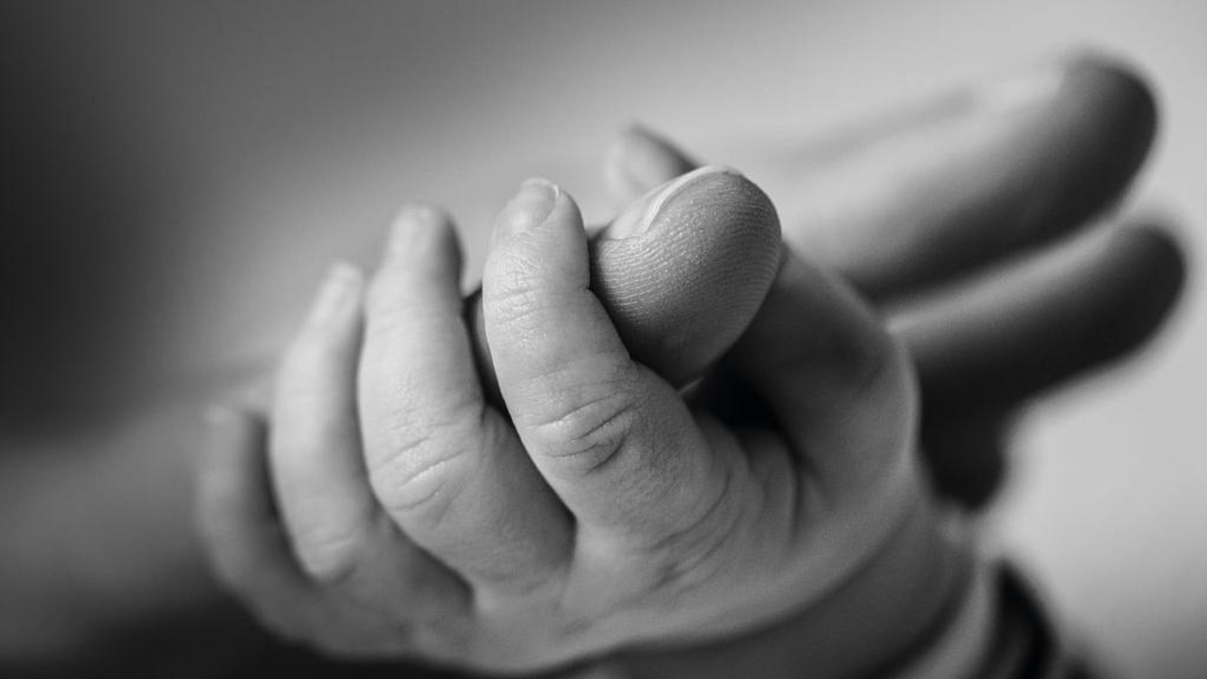 (This image has been converted to black and white) Close-up detail of an baby's hand holding a parent's finger, taken on February 28, 2014.